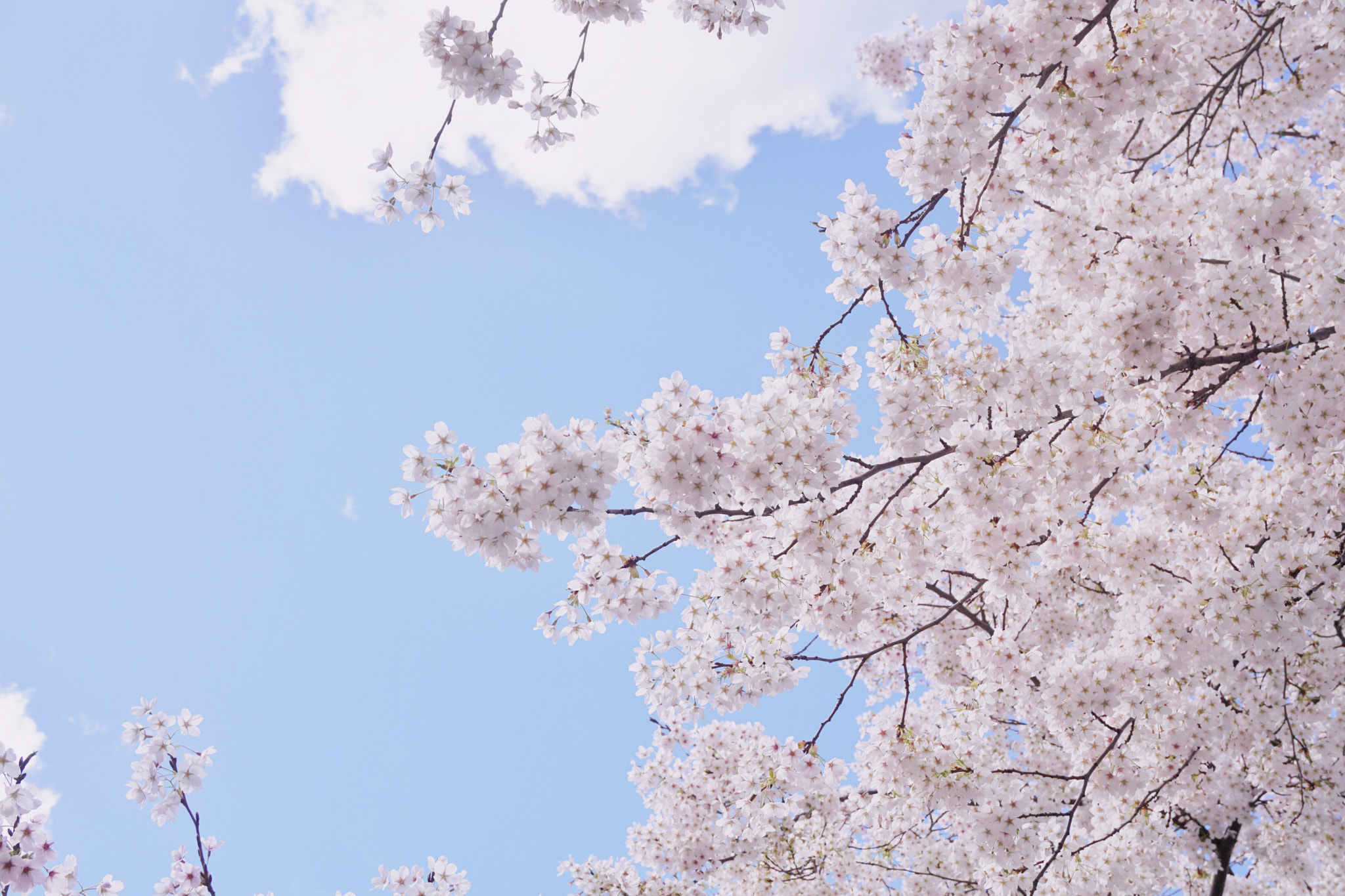 Sony E 18-50mm F4-5.6 sample photo