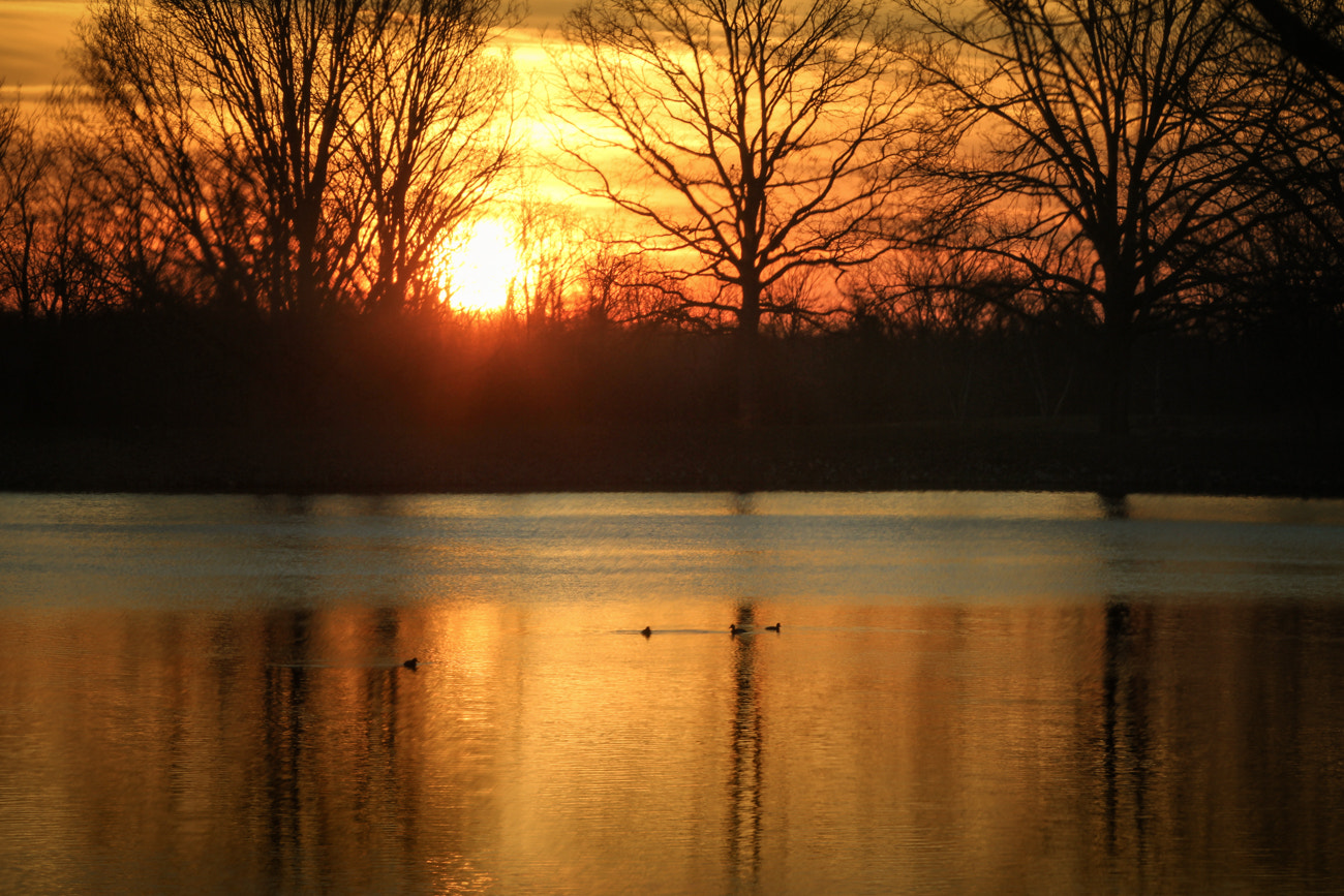 Canon EOS 7D sample photo. Spring sunset on the lake photography
