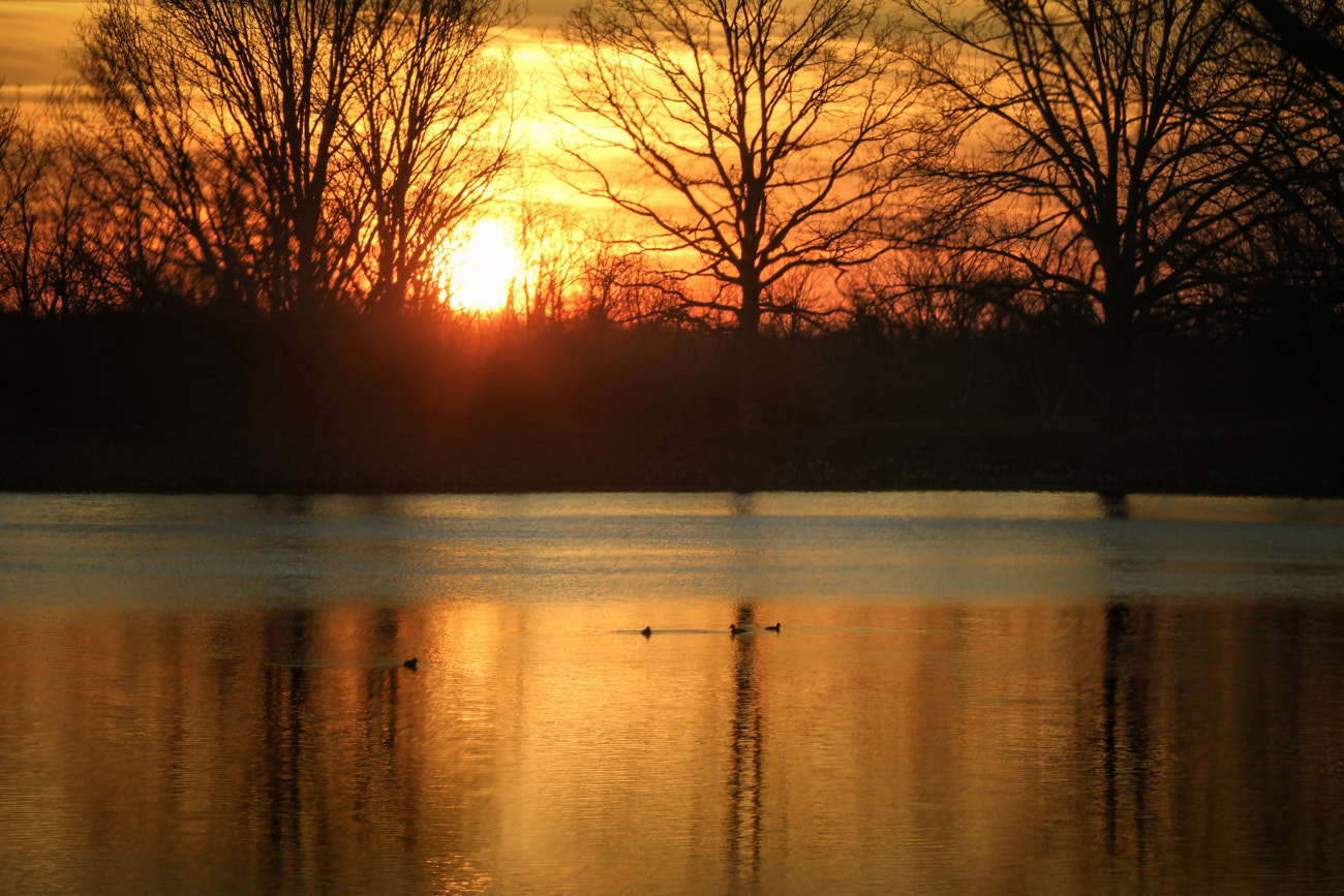 Canon EF 70-200mm F2.8L IS II USM sample photo. Spring sunset on the lake photography