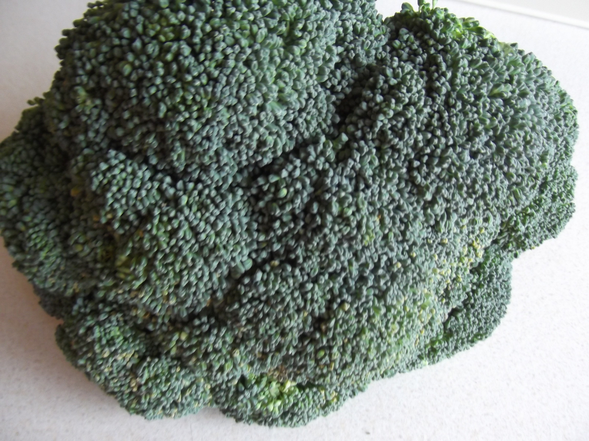 Fujifilm FinePix T350 sample photo. Broccoli. photography