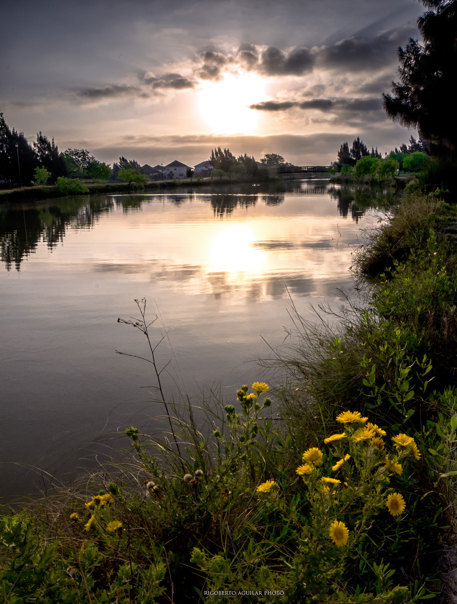 Samyang 14mm F2.8 ED AS IF UMC sample photo. Sunrise in brownsville photography