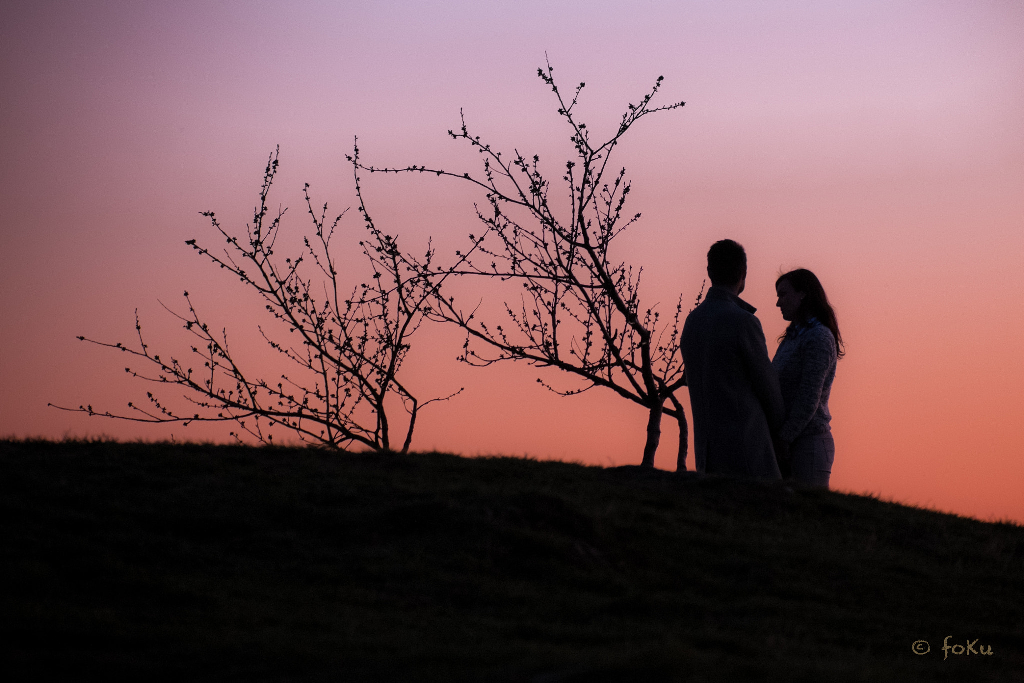 Fujifilm X-E1 + Fujifilm XC 50-230mm F4.5-6.7 OIS sample photo. Pink, i love you photography