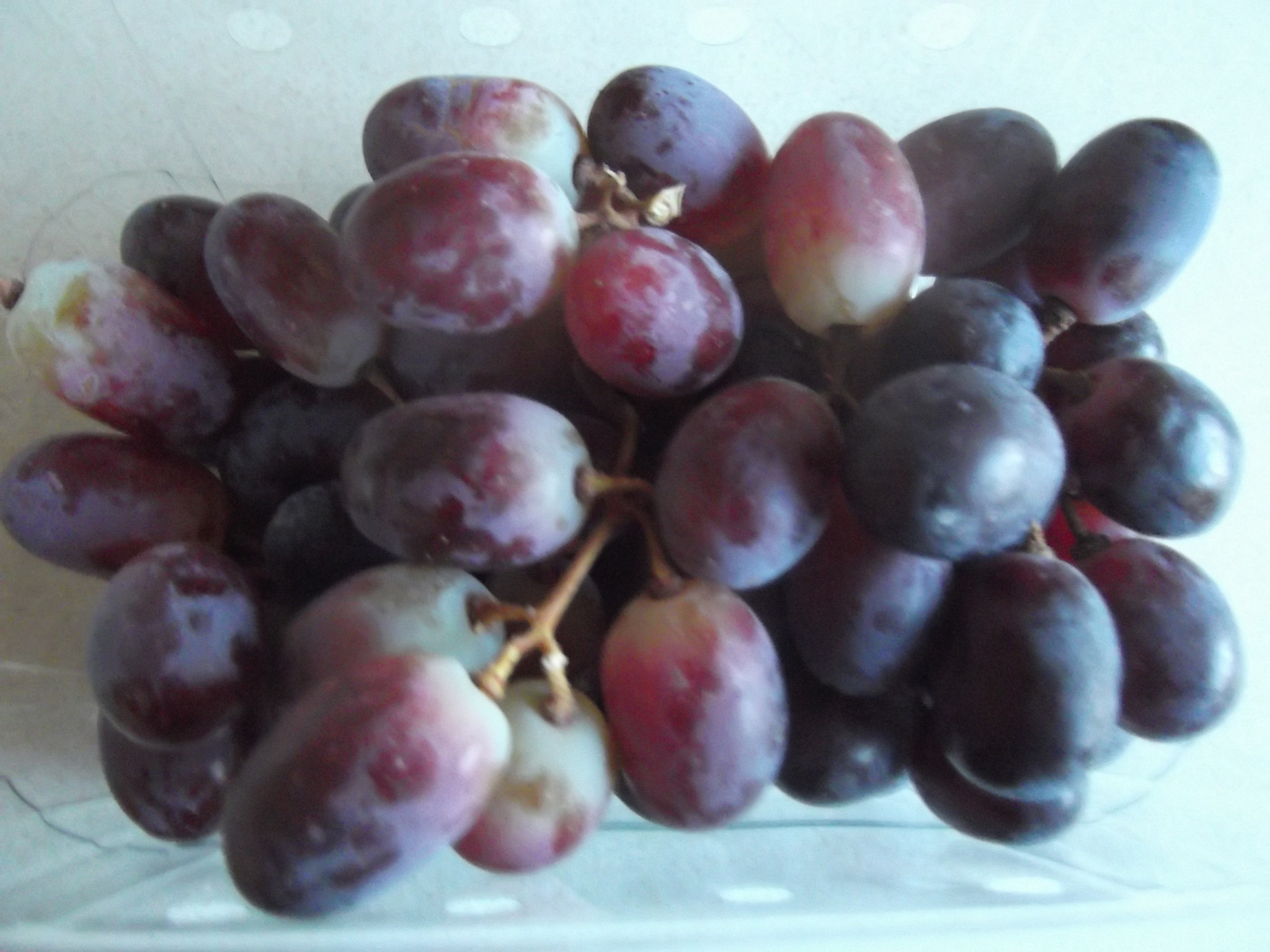 Fujifilm FinePix T350 sample photo. Red grapes photography