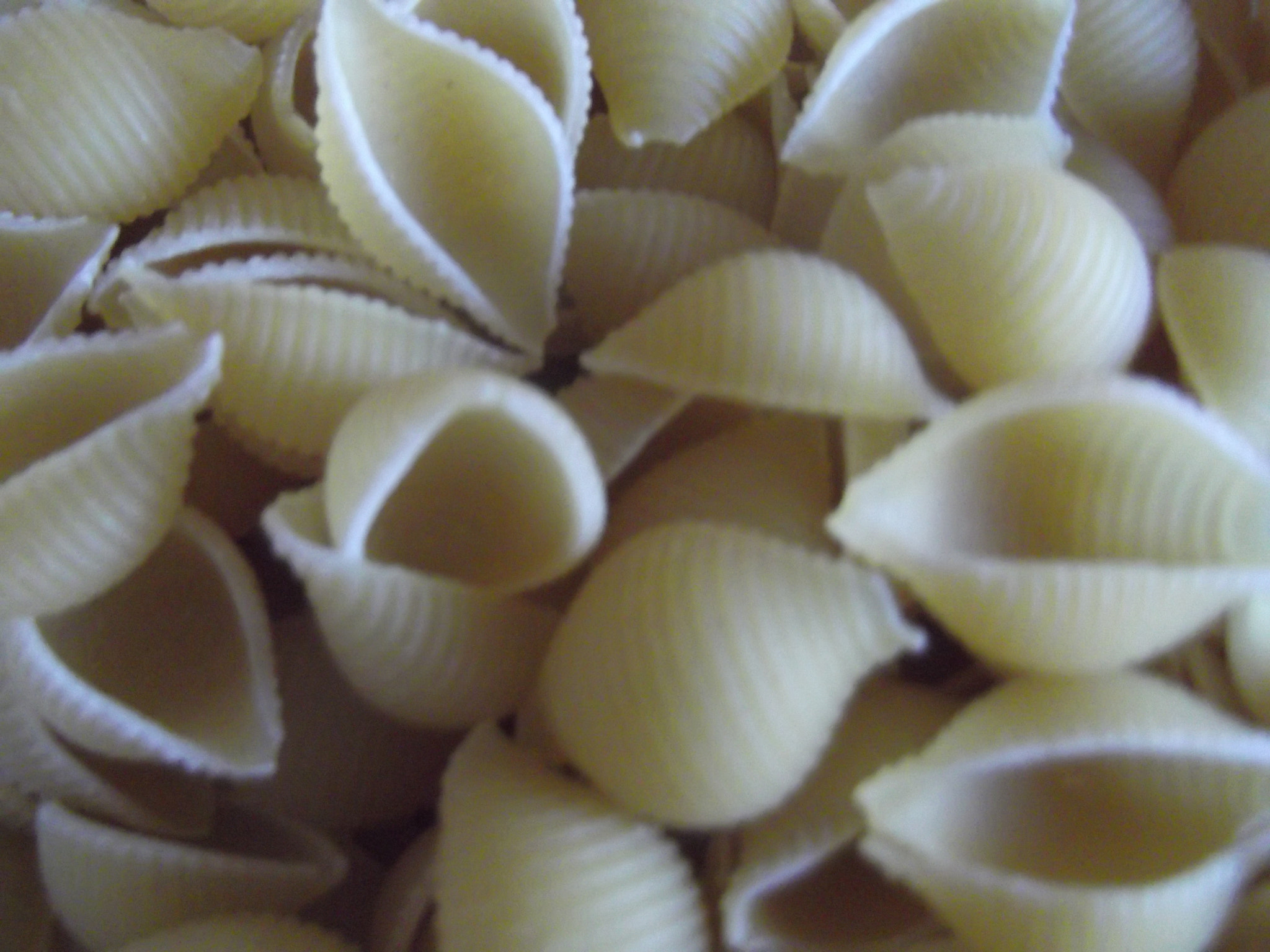 Fujifilm FinePix T350 sample photo. Conchiglie pasta photography