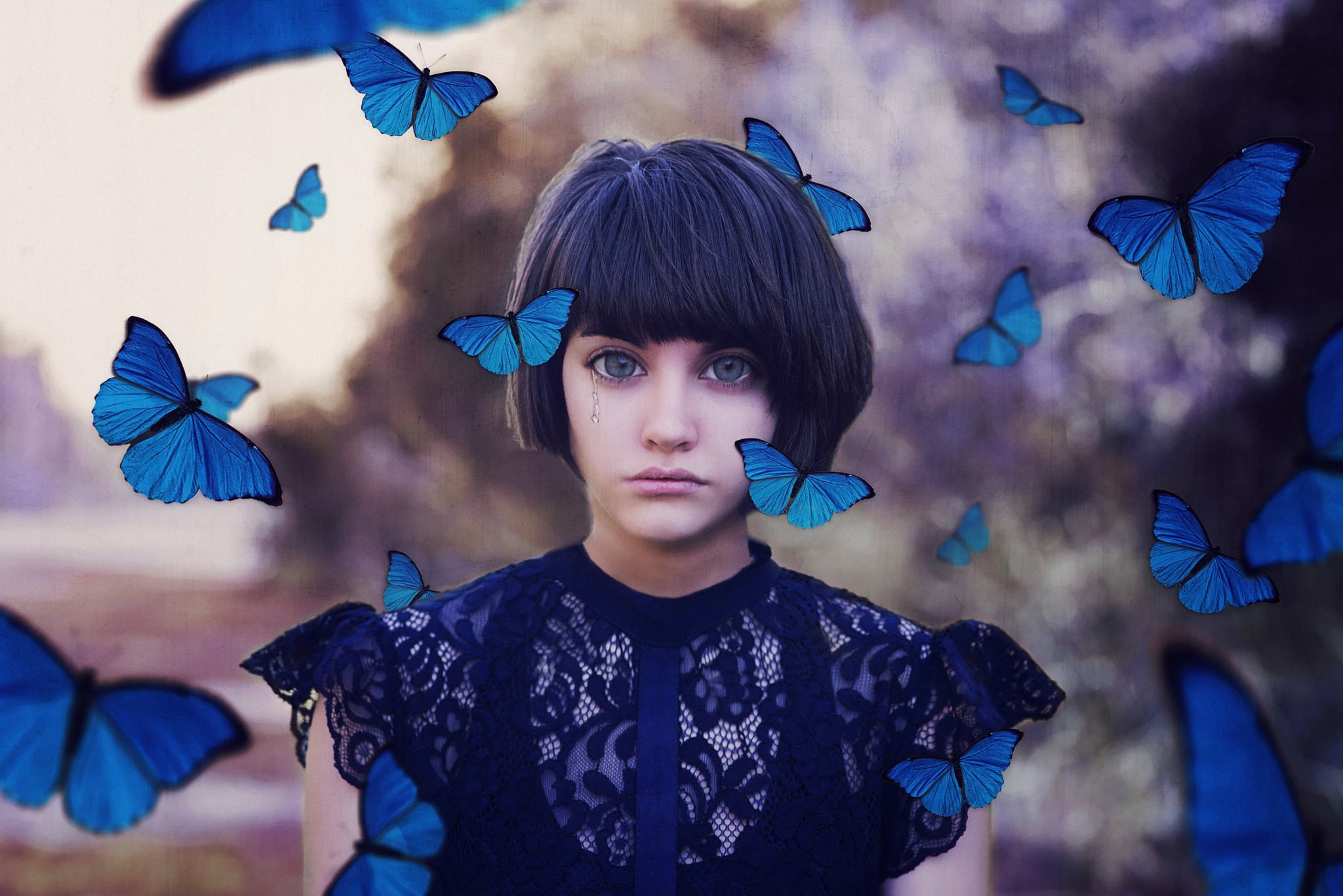Nikon AF-S Nikkor 85mm F1.8G sample photo. Butterfly blues photography