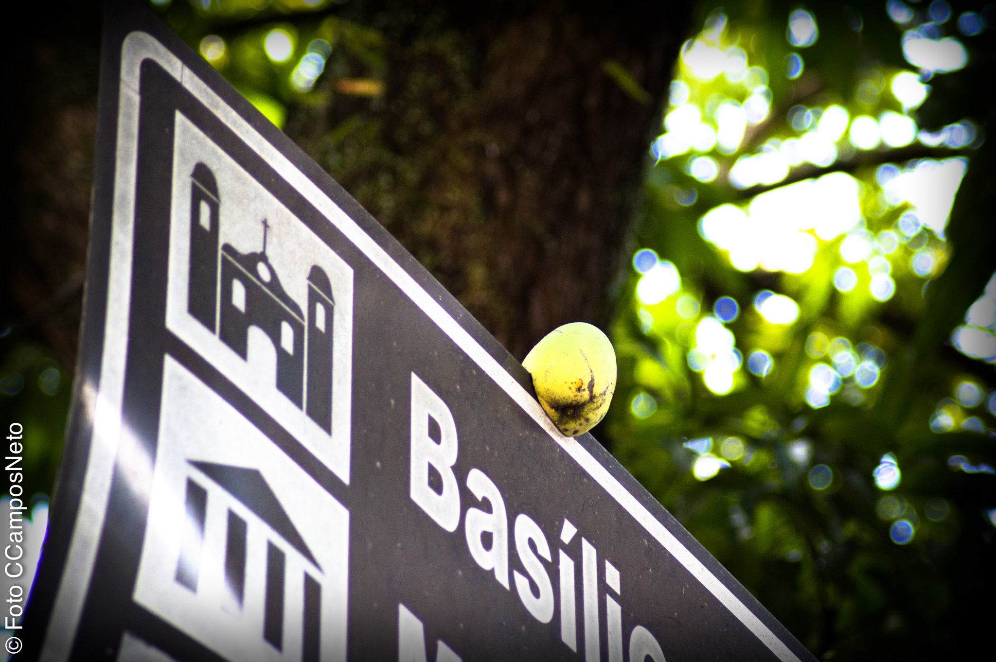 Nikon D3200 sample photo. Precise nature photography