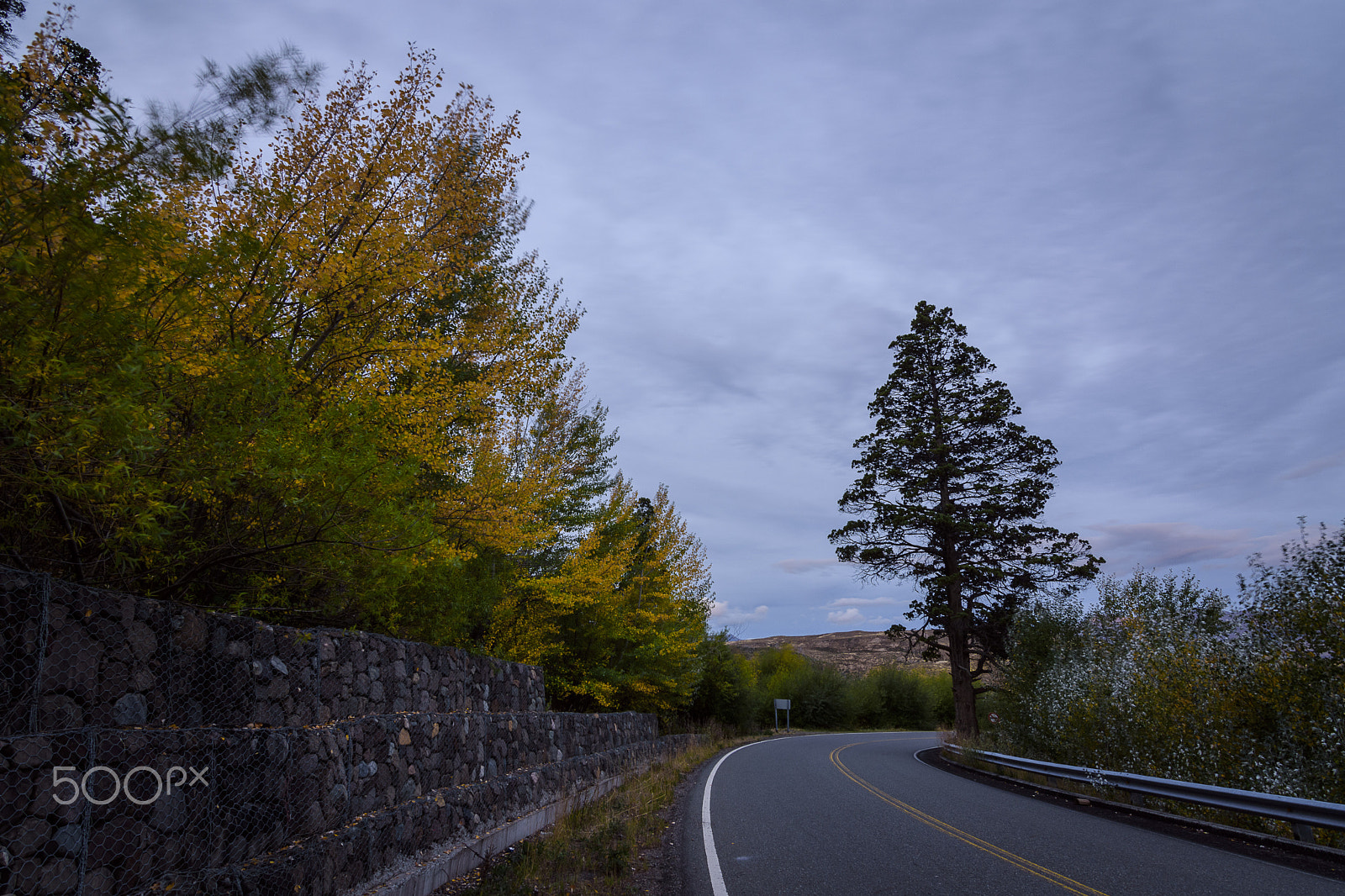 Nikon D7200 sample photo. Autumn photography