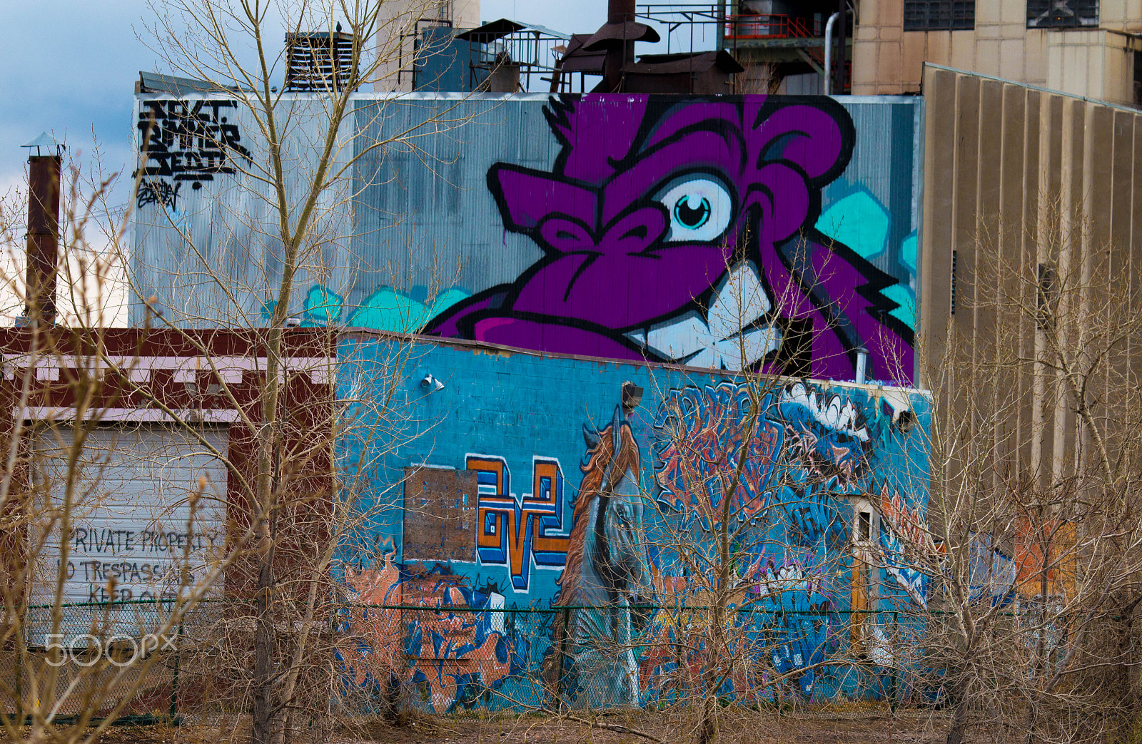 Canon EF 70-300mm F4-5.6 IS USM sample photo. Bubba photography