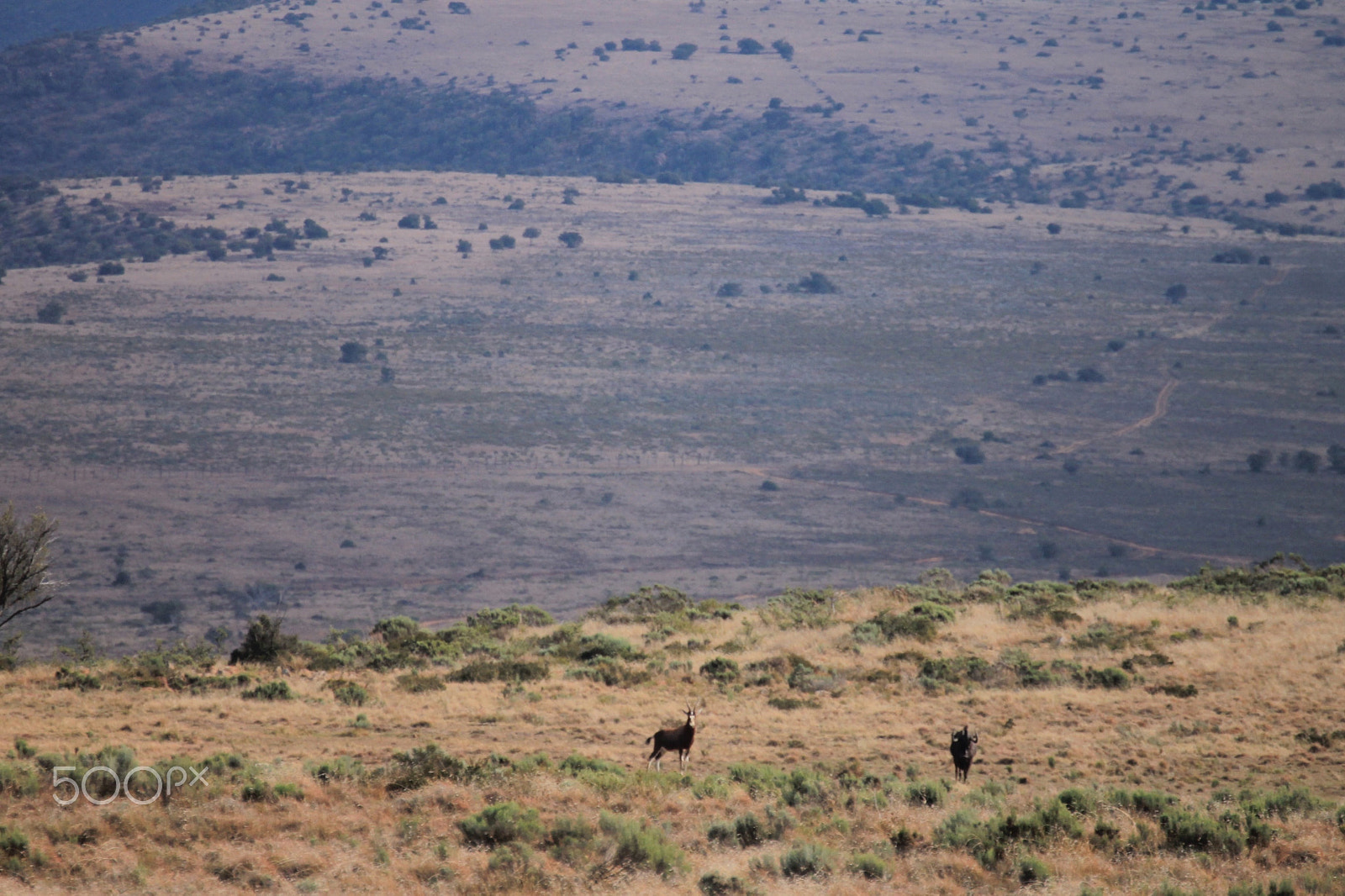 Canon 70-300mm sample photo. Img photography