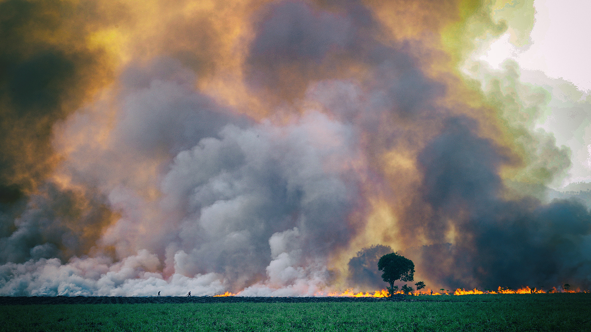 Canon EF 135mm F2L USM sample photo. Burning grounds photography