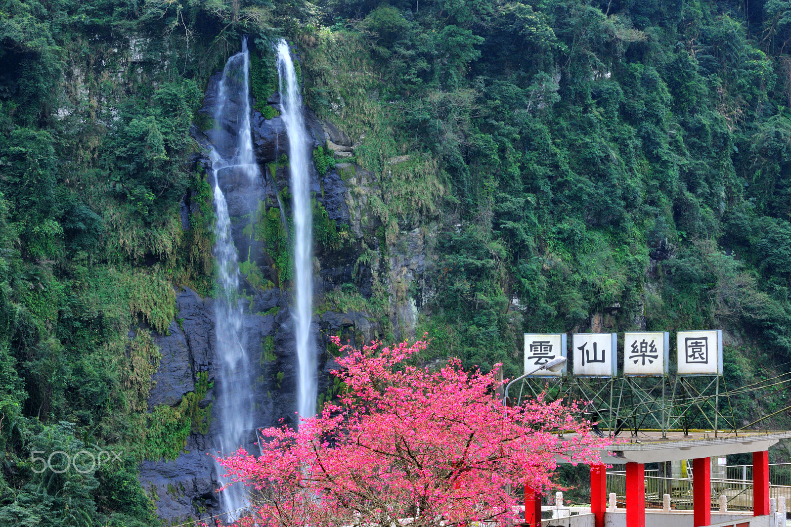 Nikon D3X sample photo. 溪流,瀑布,高,櫻花 photography