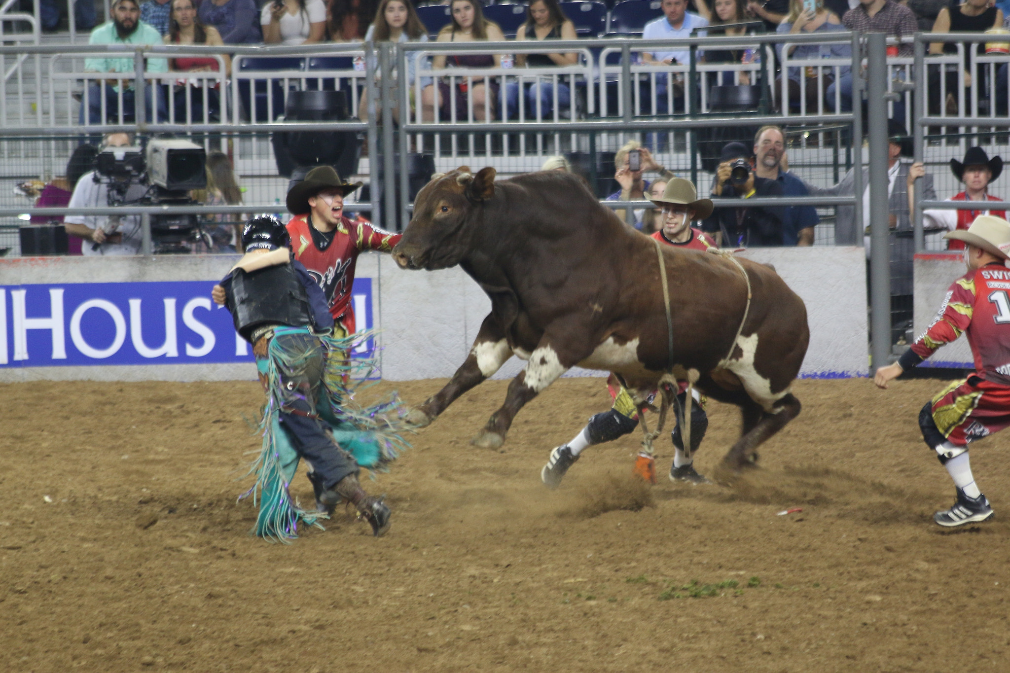 Canon EF 70-300mm F4-5.6 IS USM sample photo. A close call photography