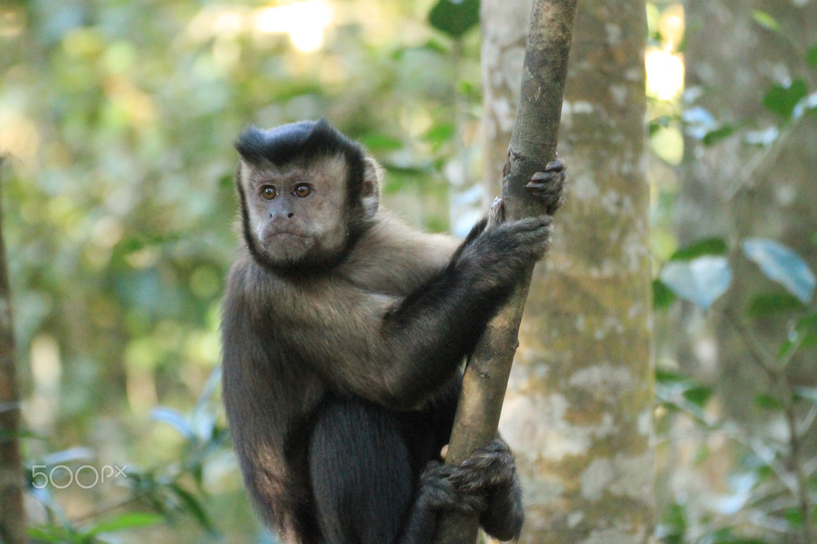 Canon 70-300mm sample photo. Img photography