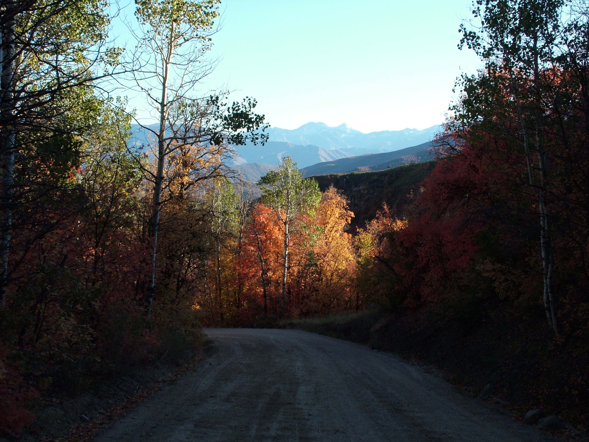 Fujifilm FinePix S7000 sample photo. Mountain road - near midway, utah photography