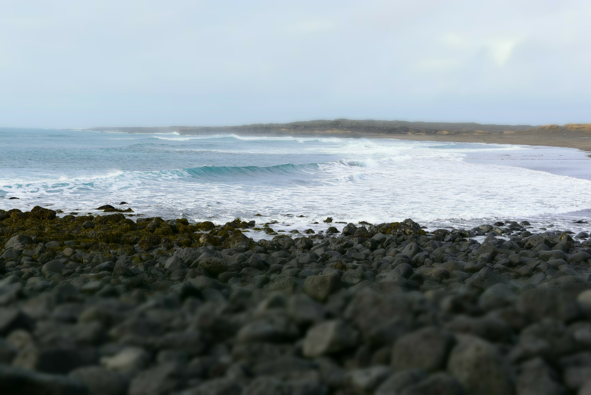 Nikon AF-S Nikkor 24-70mm F2.8E ED VR sample photo. Black sand beaches, vik, iceland photography