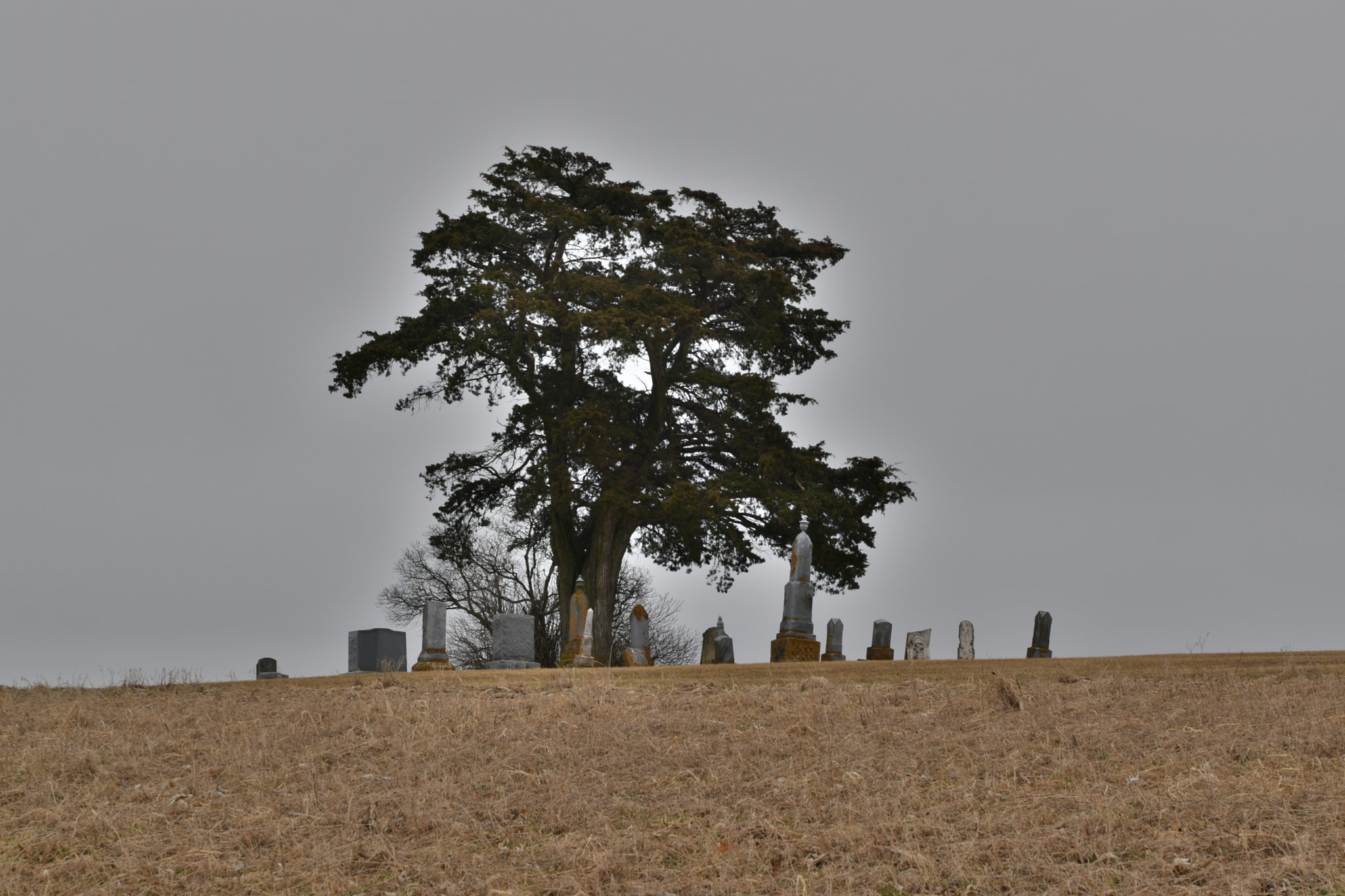 Nikon D5500 sample photo. Solitude photography