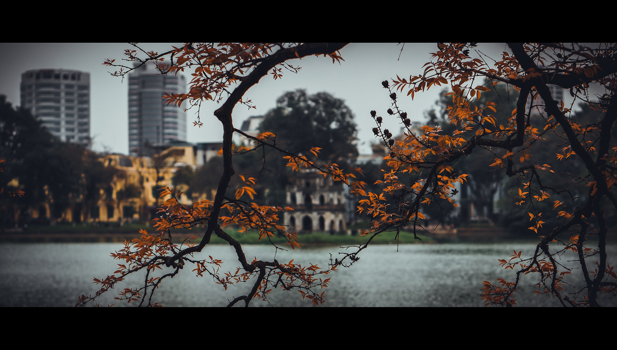 Sony Alpha NEX-6 sample photo. Singing on the change of season photography