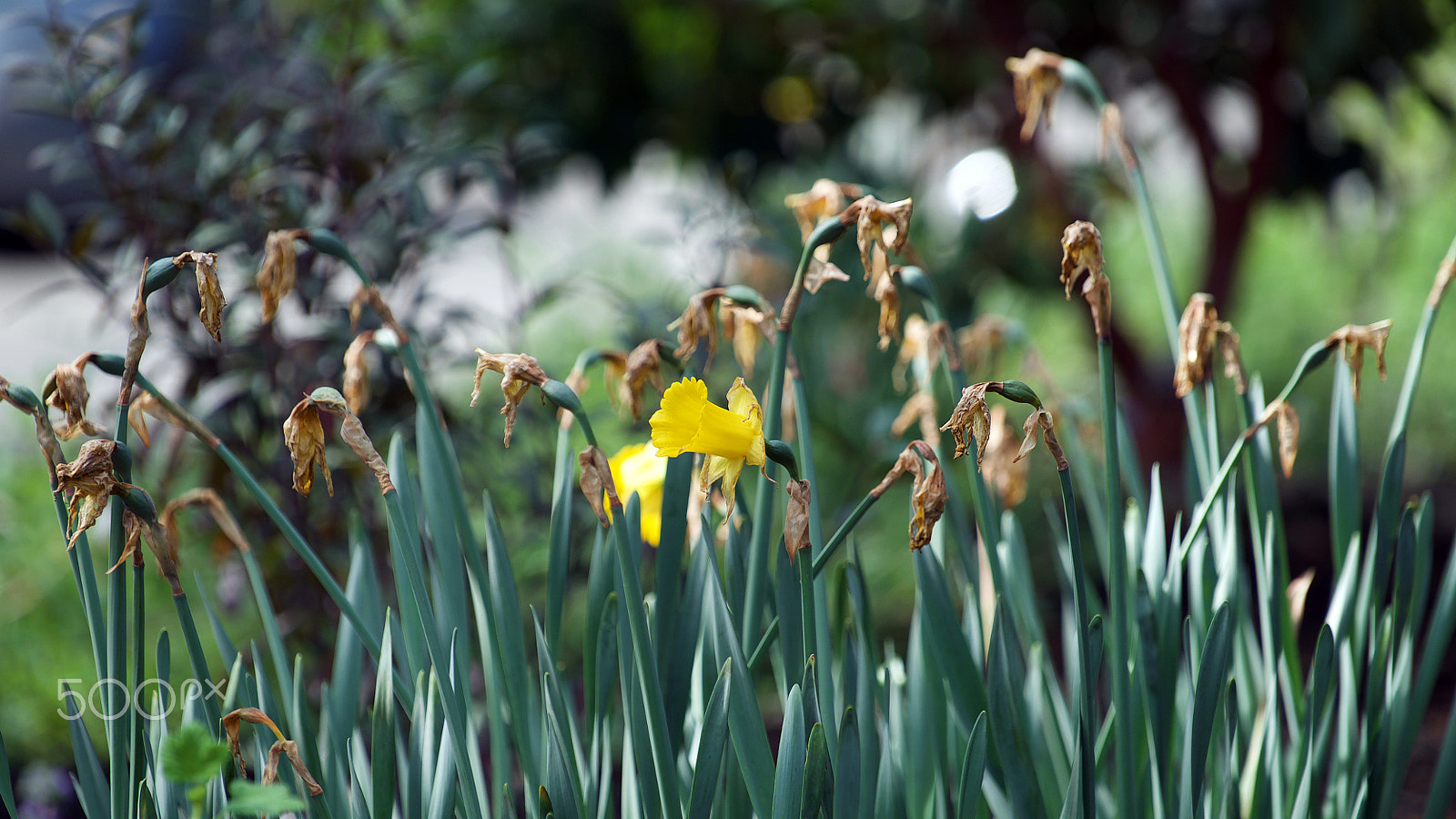 Sony a7S II sample photo. The reckoning photography