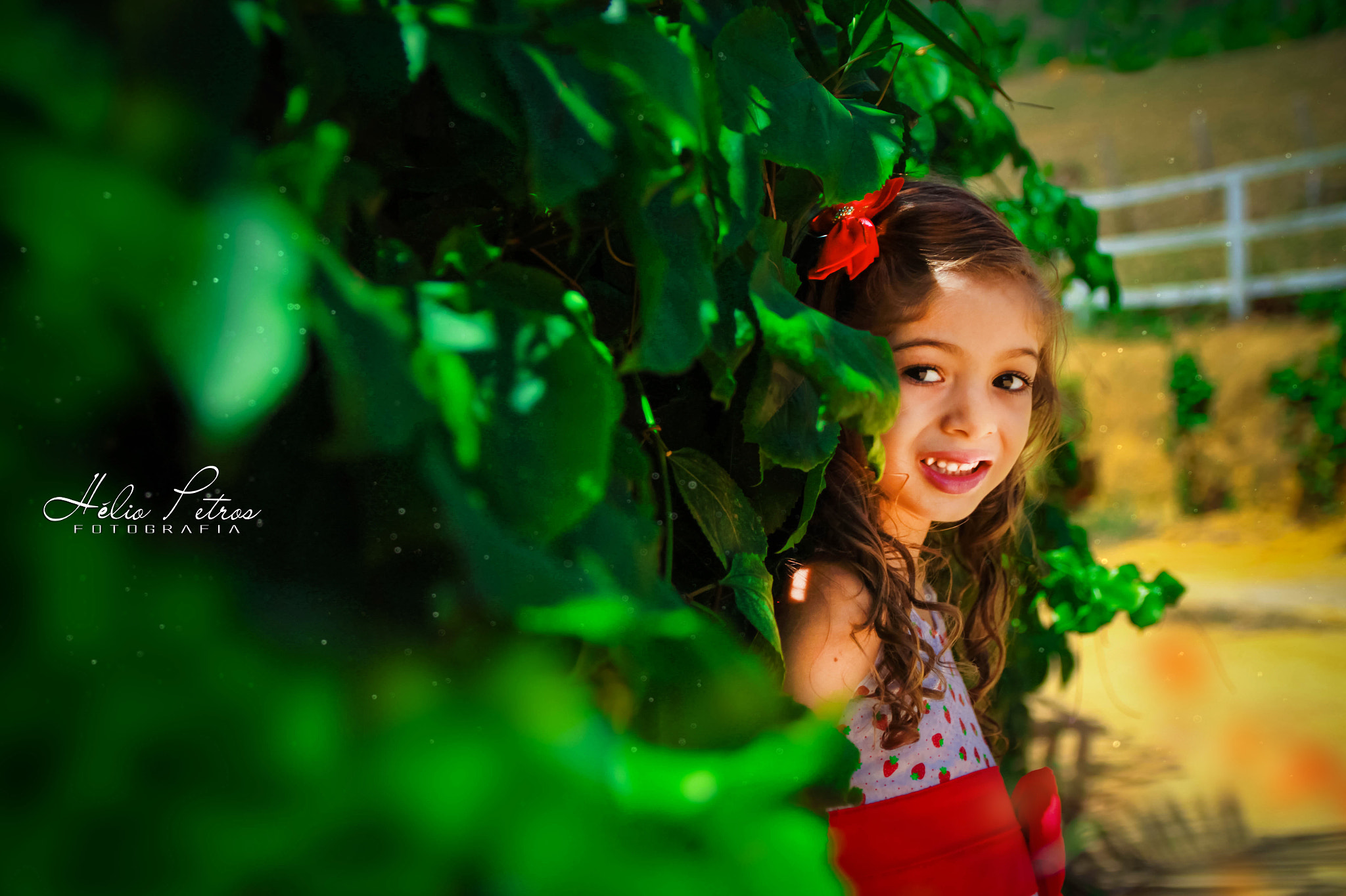 Canon EF-S 17-55mm F2.8 IS USM sample photo. Peda da cabeca photography
