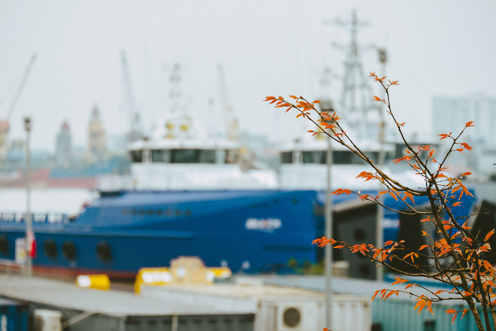 Fujifilm XF 55-200mm F3.5-4.8 R LM OIS sample photo. Spring in damen photography