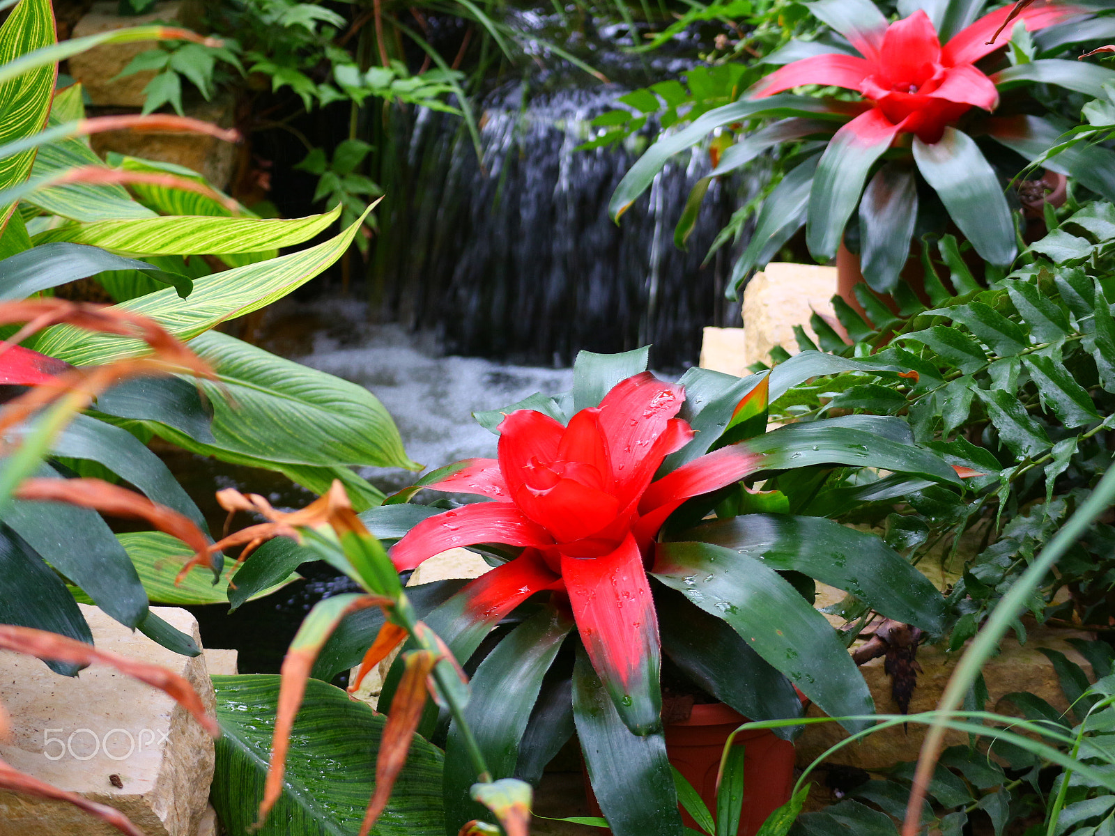 Canon EOS M10 sample photo