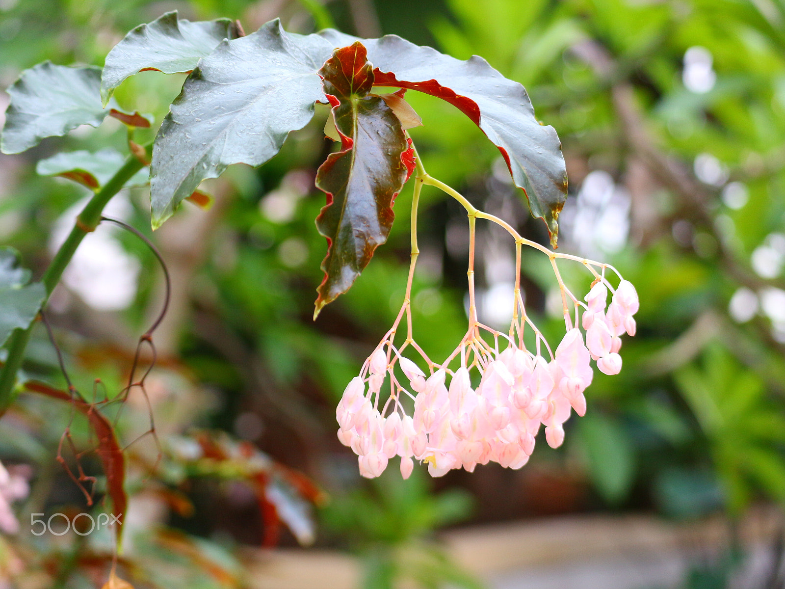 Canon EOS M10 sample photo