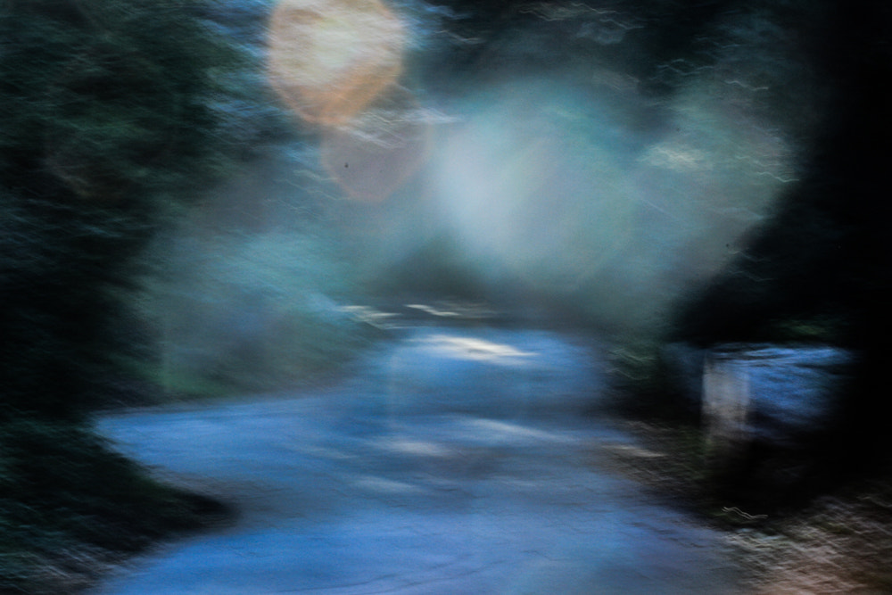 Canon EF 100mm F2.8 Macro USM sample photo. The road becomes less clear photography