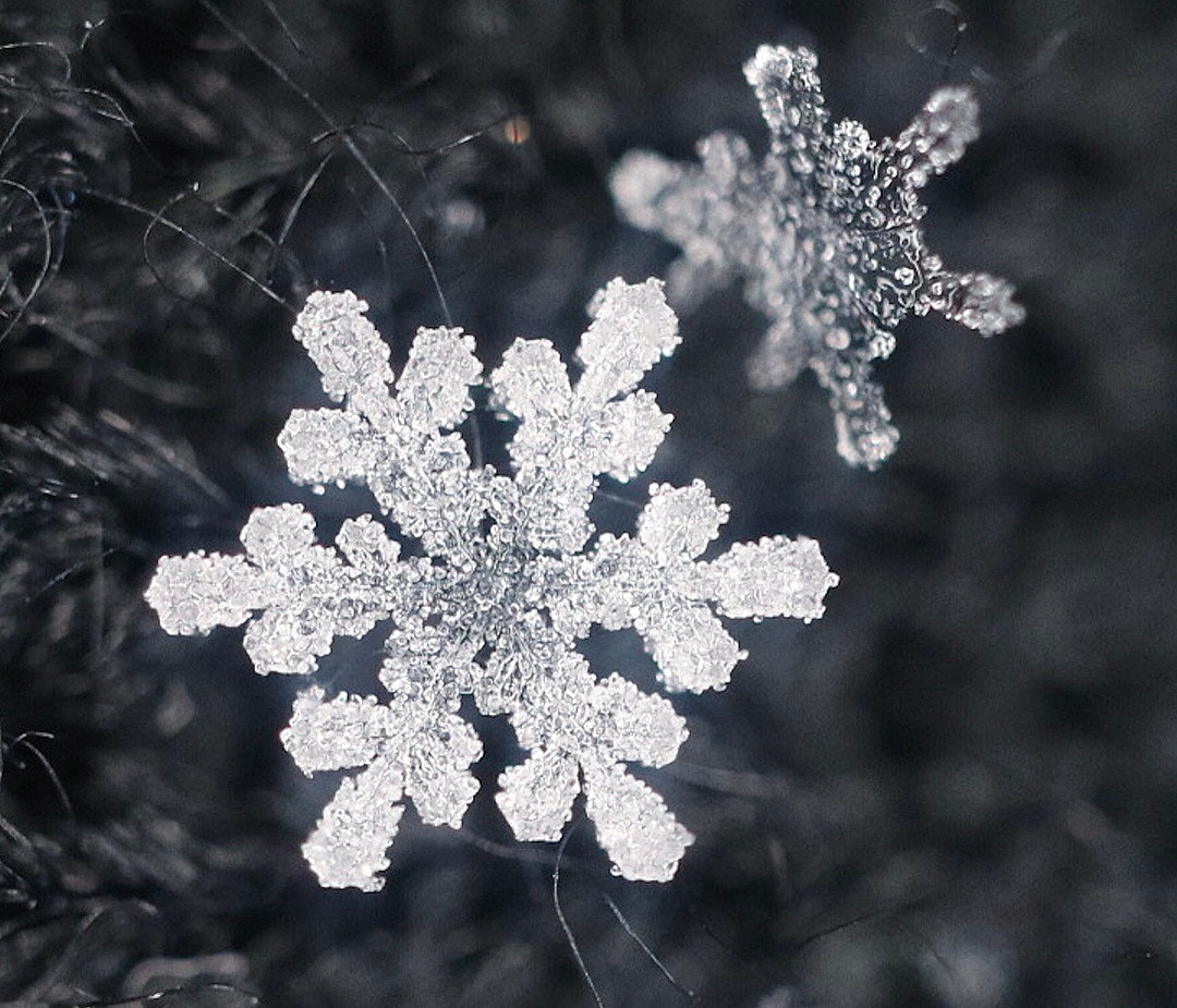 Canon EF-M 28mm F3.5 Macro IS STM sample photo. Snowflakes photography