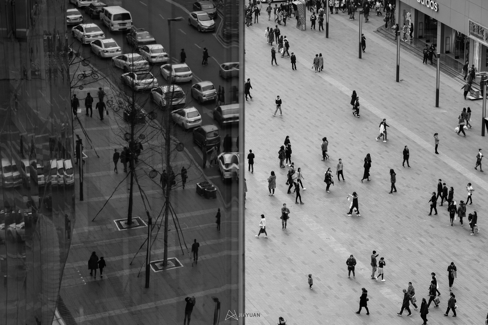 Canon EF 70-200mm F4L IS USM sample photo. Black&white photography