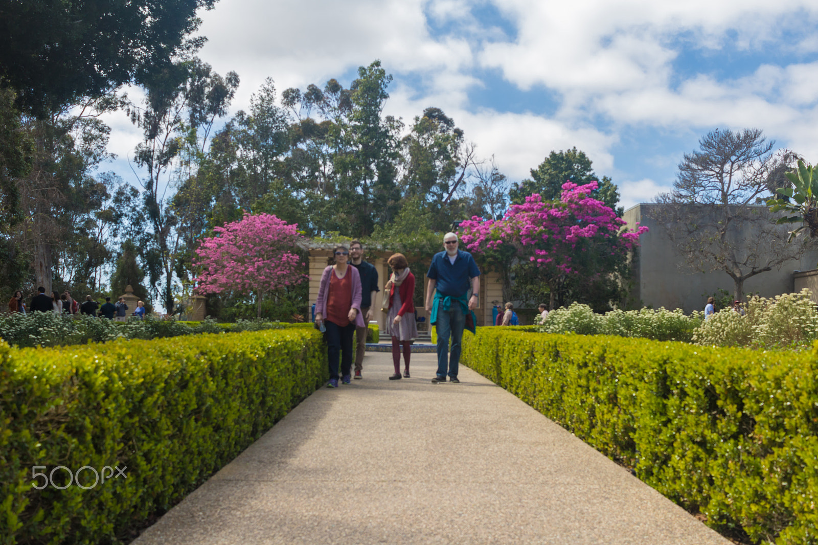Canon EOS 760D (EOS Rebel T6s / EOS 8000D) sample photo. Promenade, from balboa park photography
