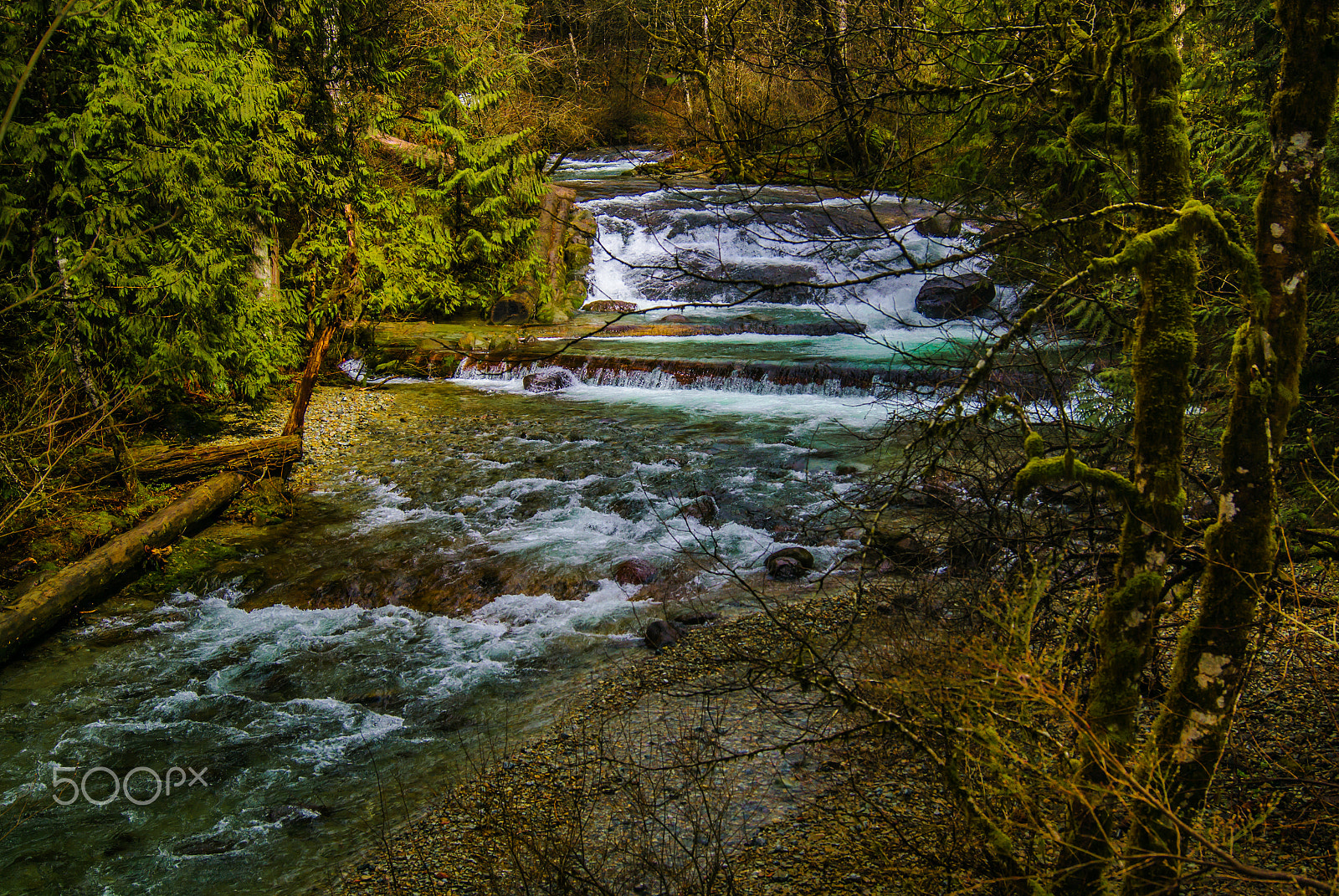 Sony SLT-A77 sample photo. Dougan creek photography