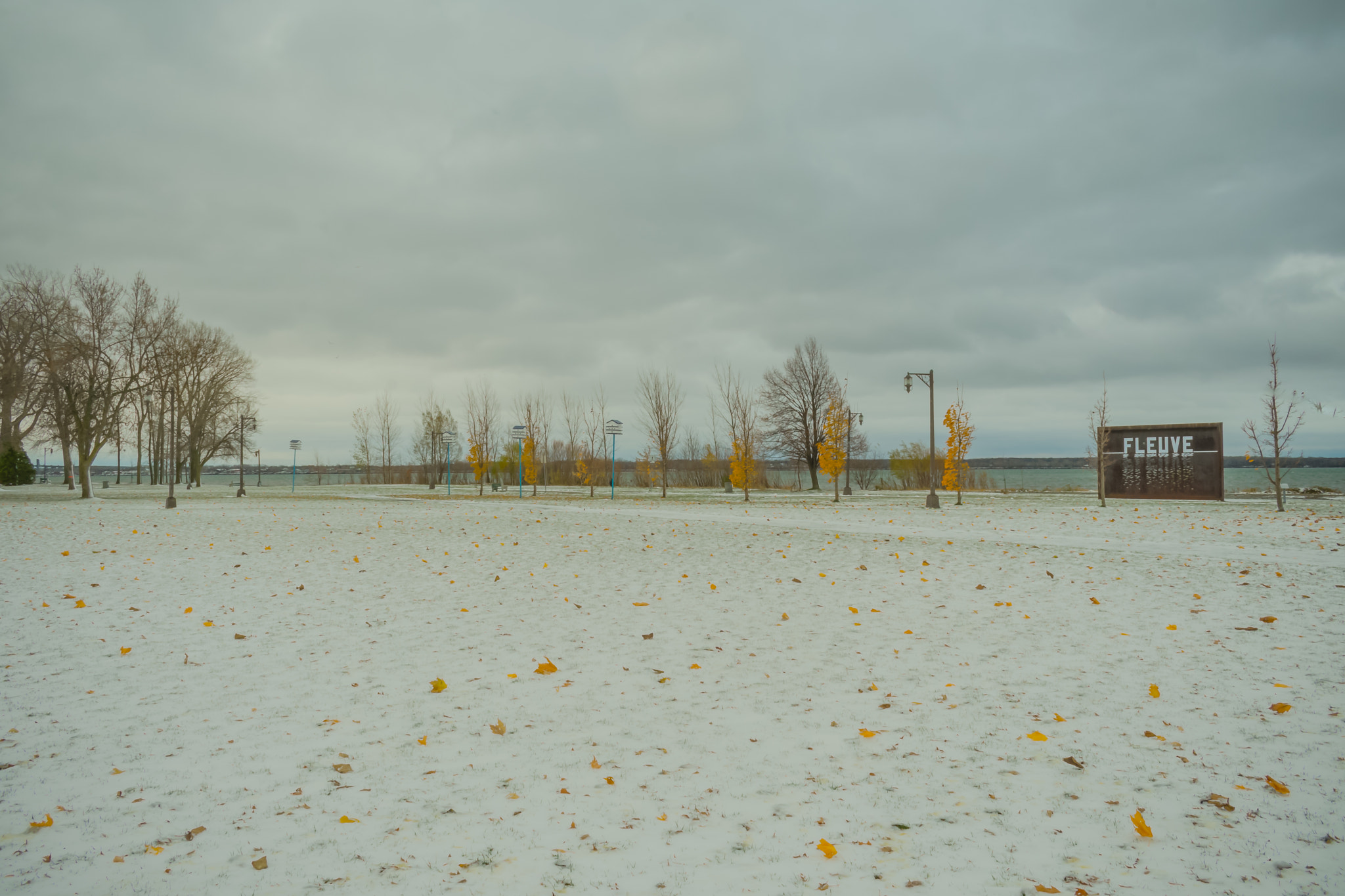 Nikon D3400 sample photo. Fleuve in silver photography