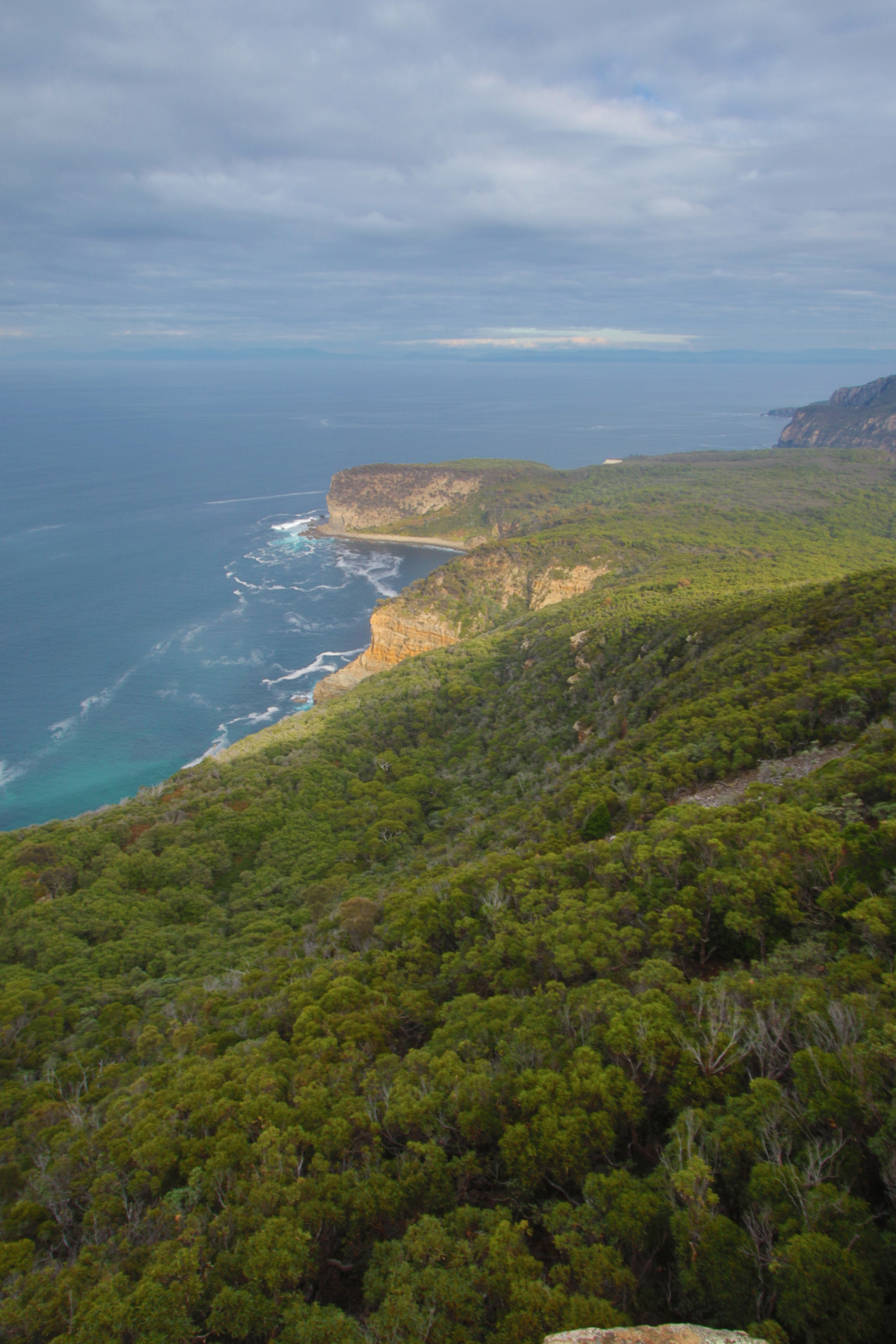 Canon EOS 7D Mark II sample photo. Shipstern bluff lookout photography