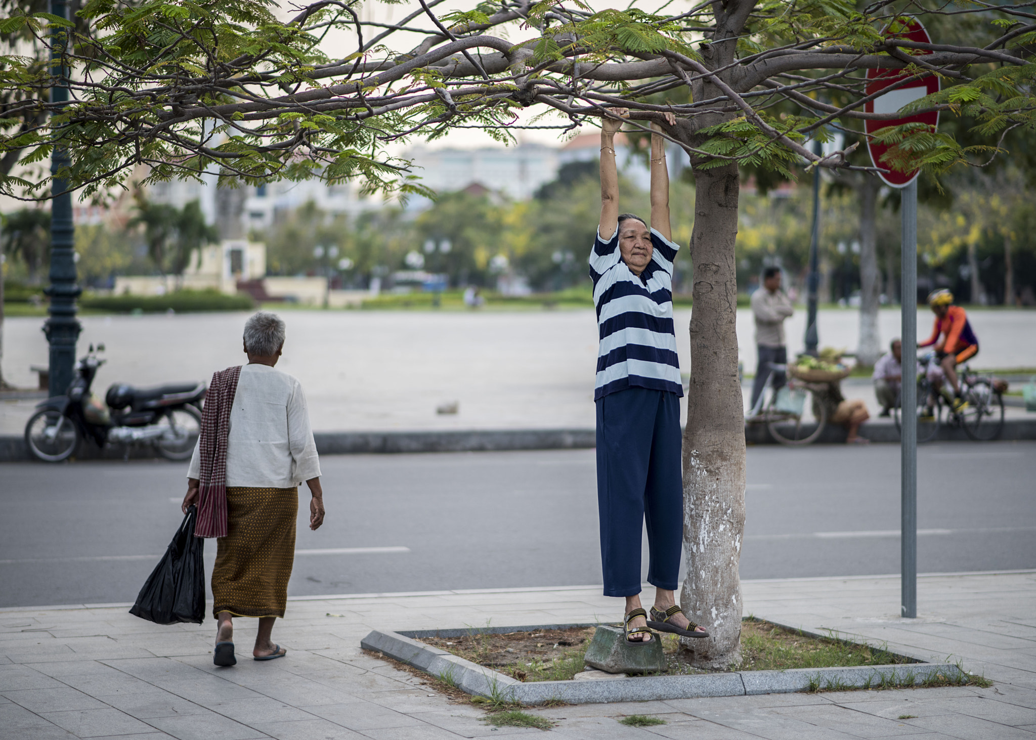 Nikon D810 + Nikon AF-S Nikkor 85mm F1.8G sample photo. Lady in tree photography