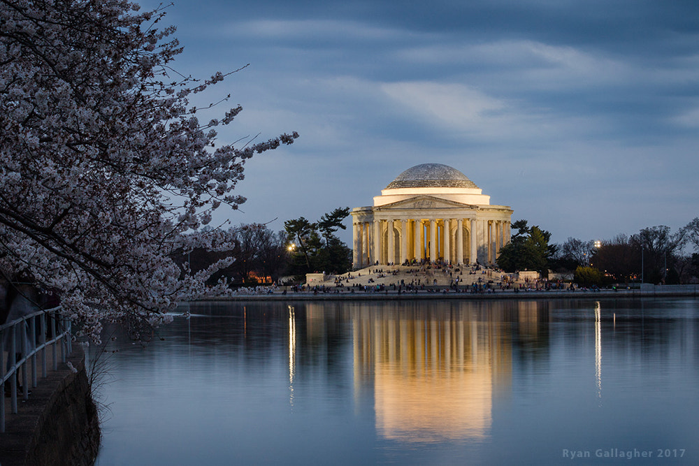 Canon EF-S 55-250mm F4-5.6 IS sample photo. Walkway cherry blossoms at the tidal basin photography