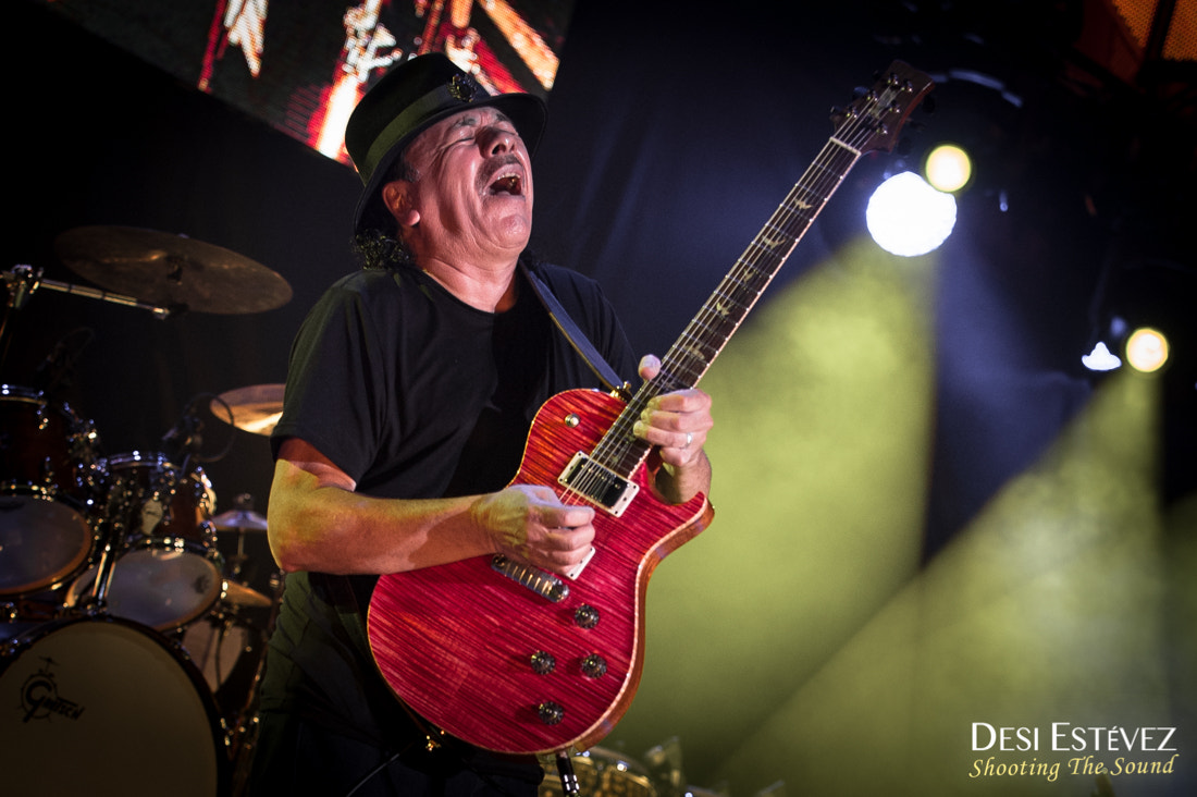 Nikon D700 sample photo. Carlos santana photography
