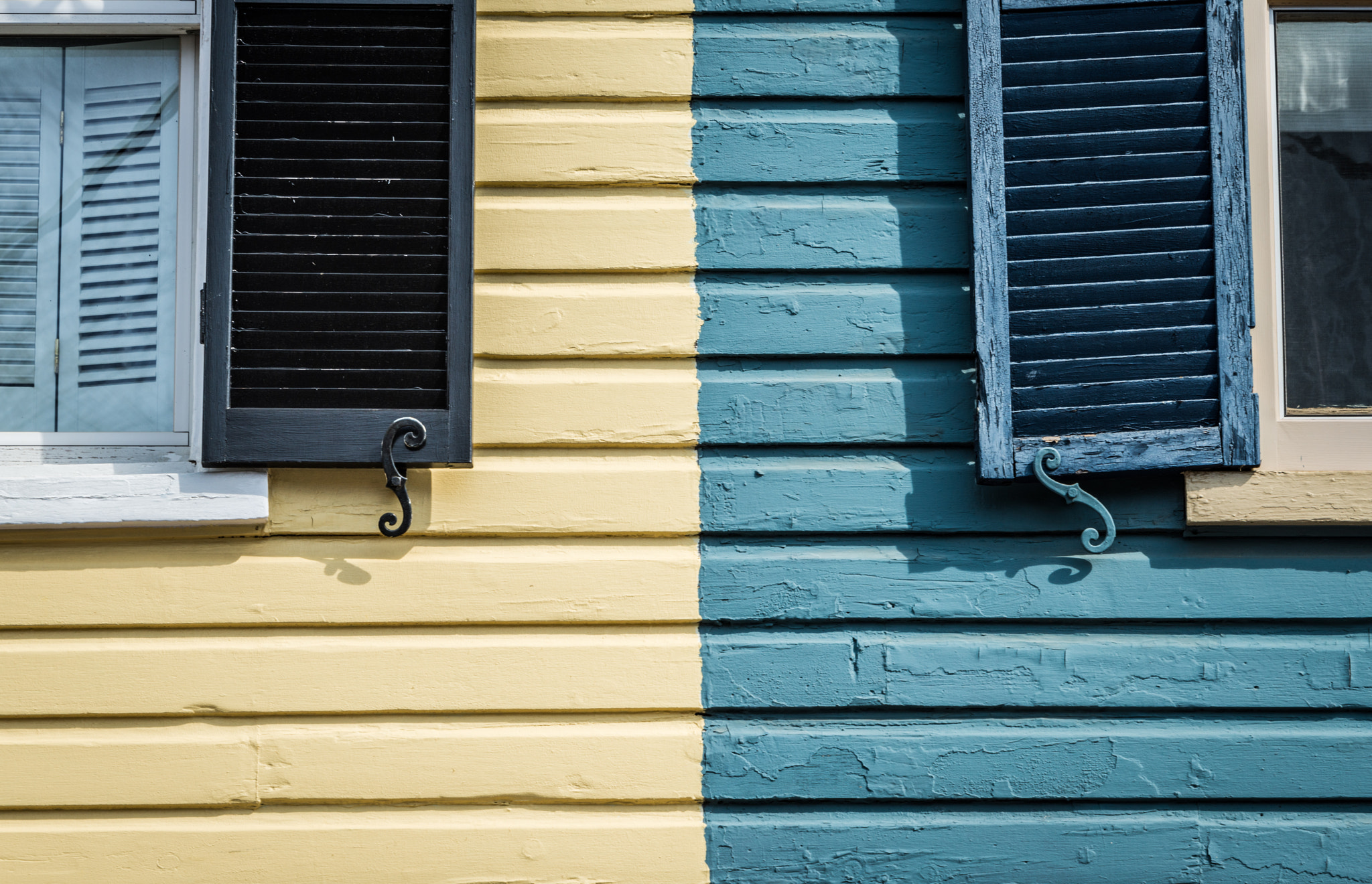 Nikon D800 sample photo. Two tone photography