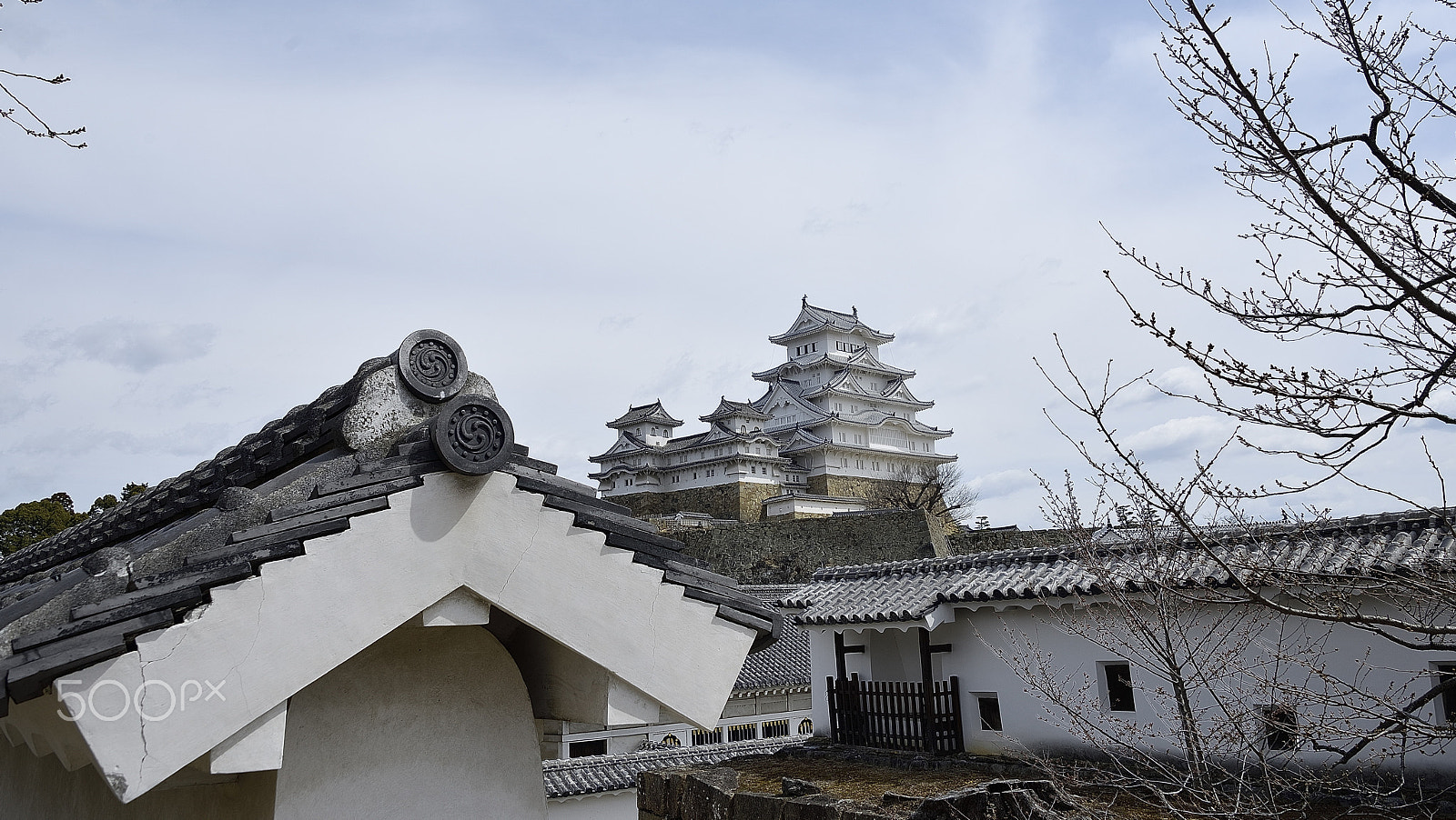Nikon D800E sample photo. World heritage himeji castle photography