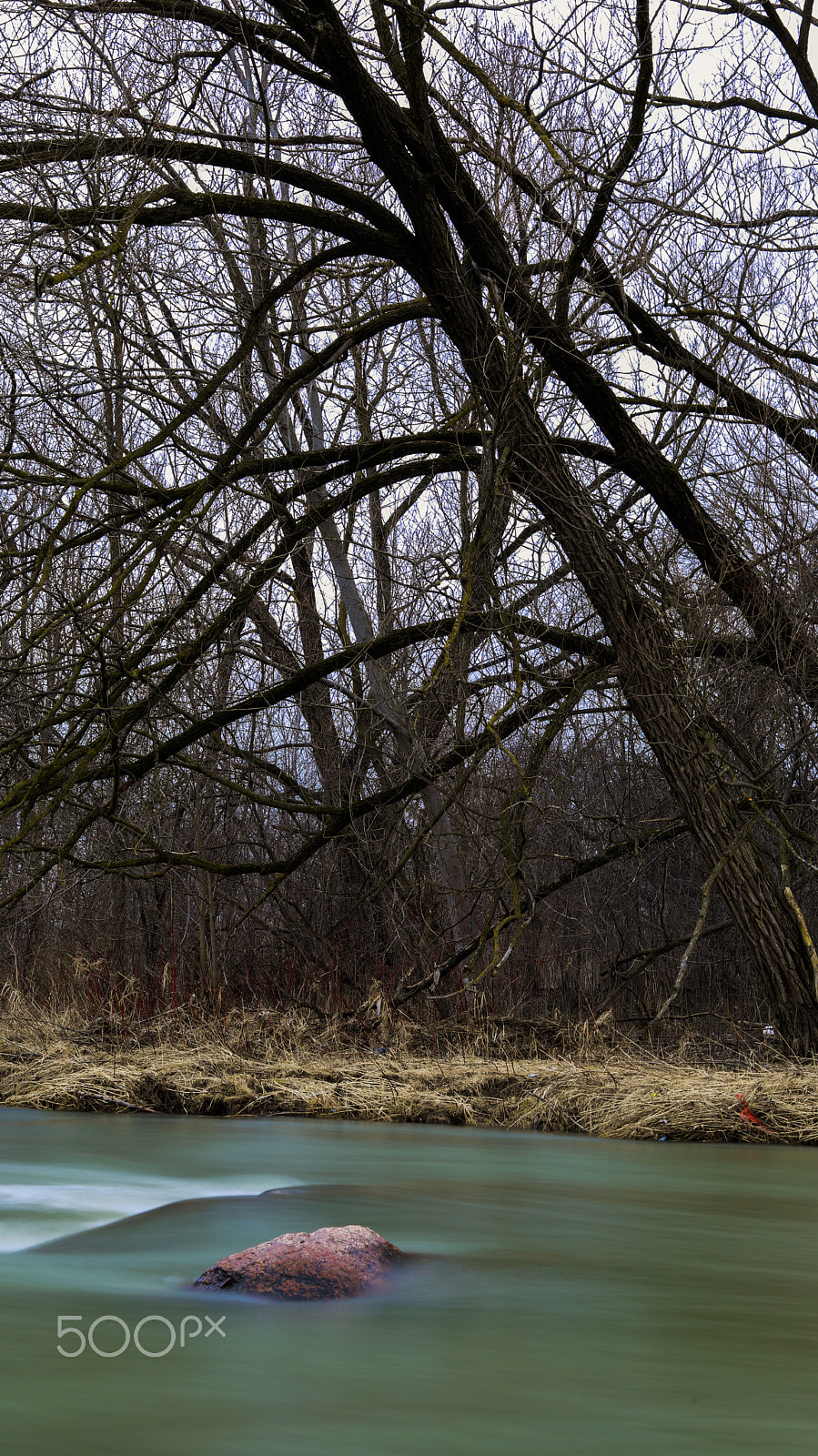 Canon EF 50mm F1.8 STM sample photo. Water and drought photography