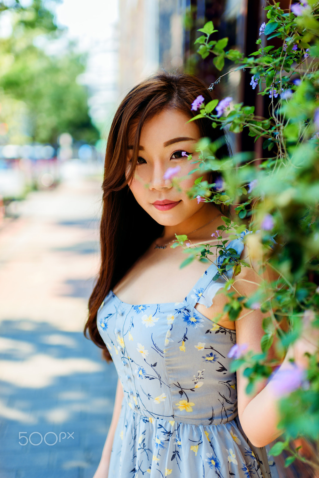 Nikon D750 + Nikon AF-S Nikkor 35mm F1.4G sample photo. Behind the green photography