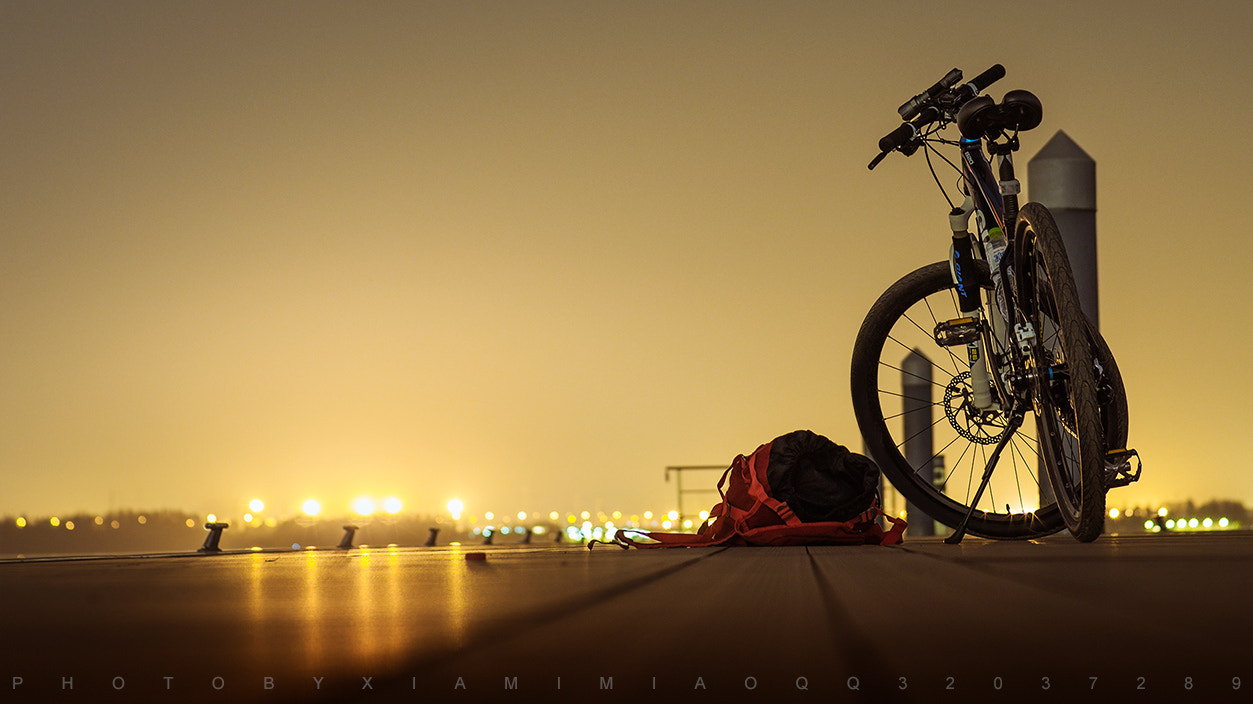 Sony SLT-A57 + Sony 50mm F1.4 sample photo. 停靠 photography