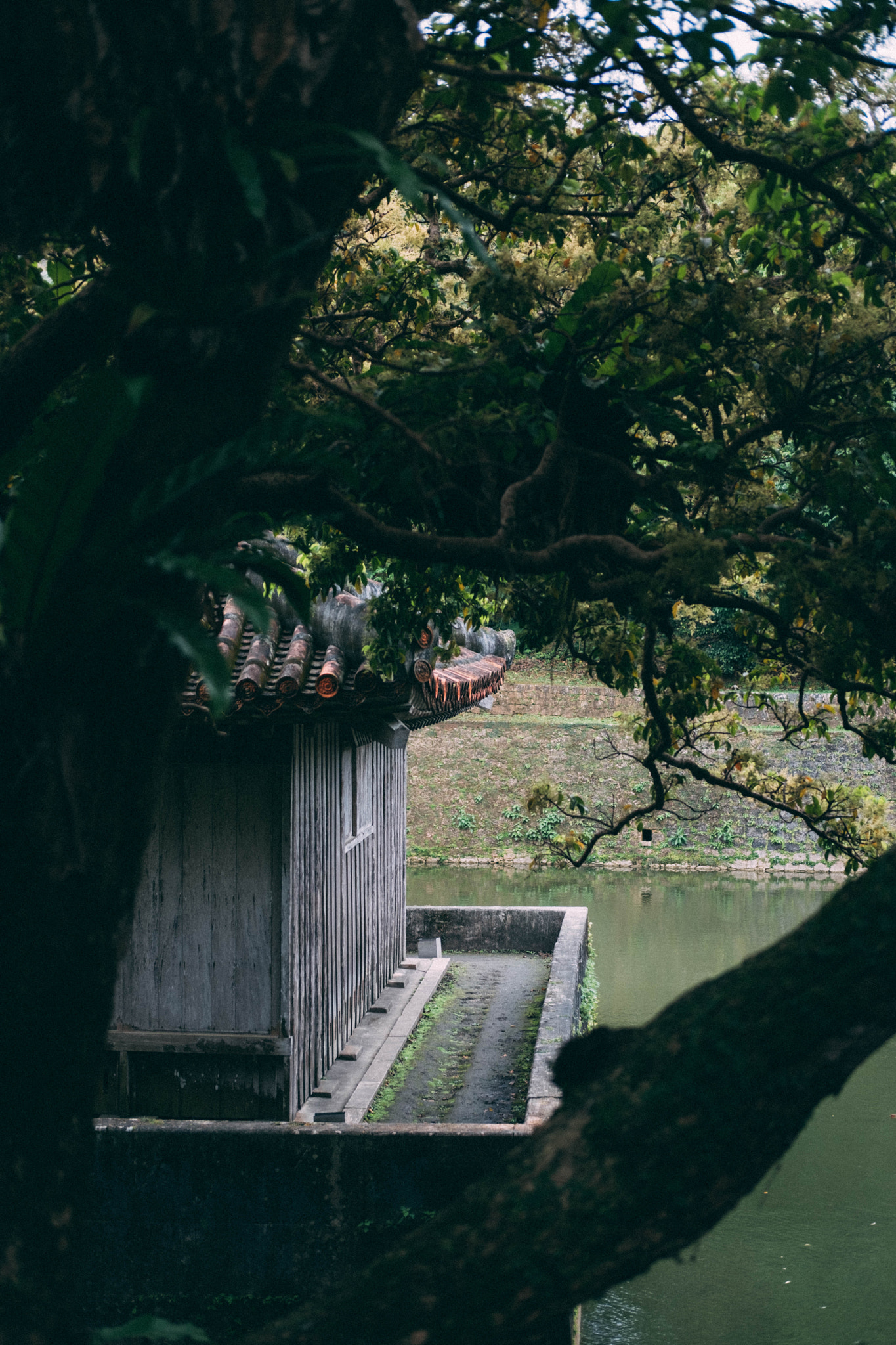 Fujifilm X-Pro2 + Fujifilm XF 35mm F2 R WR sample photo. Shuri castle park photography