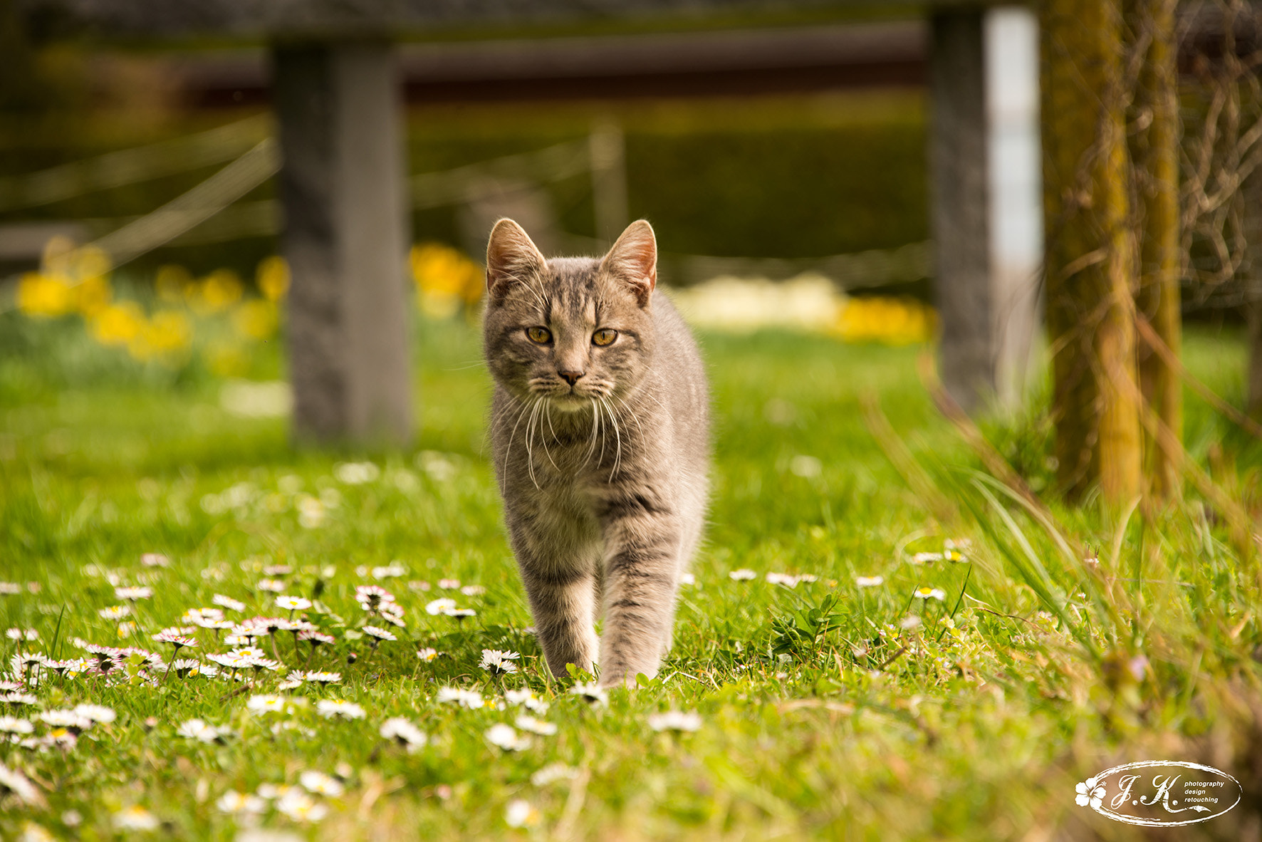 Nikon D800 sample photo. Frühling photography