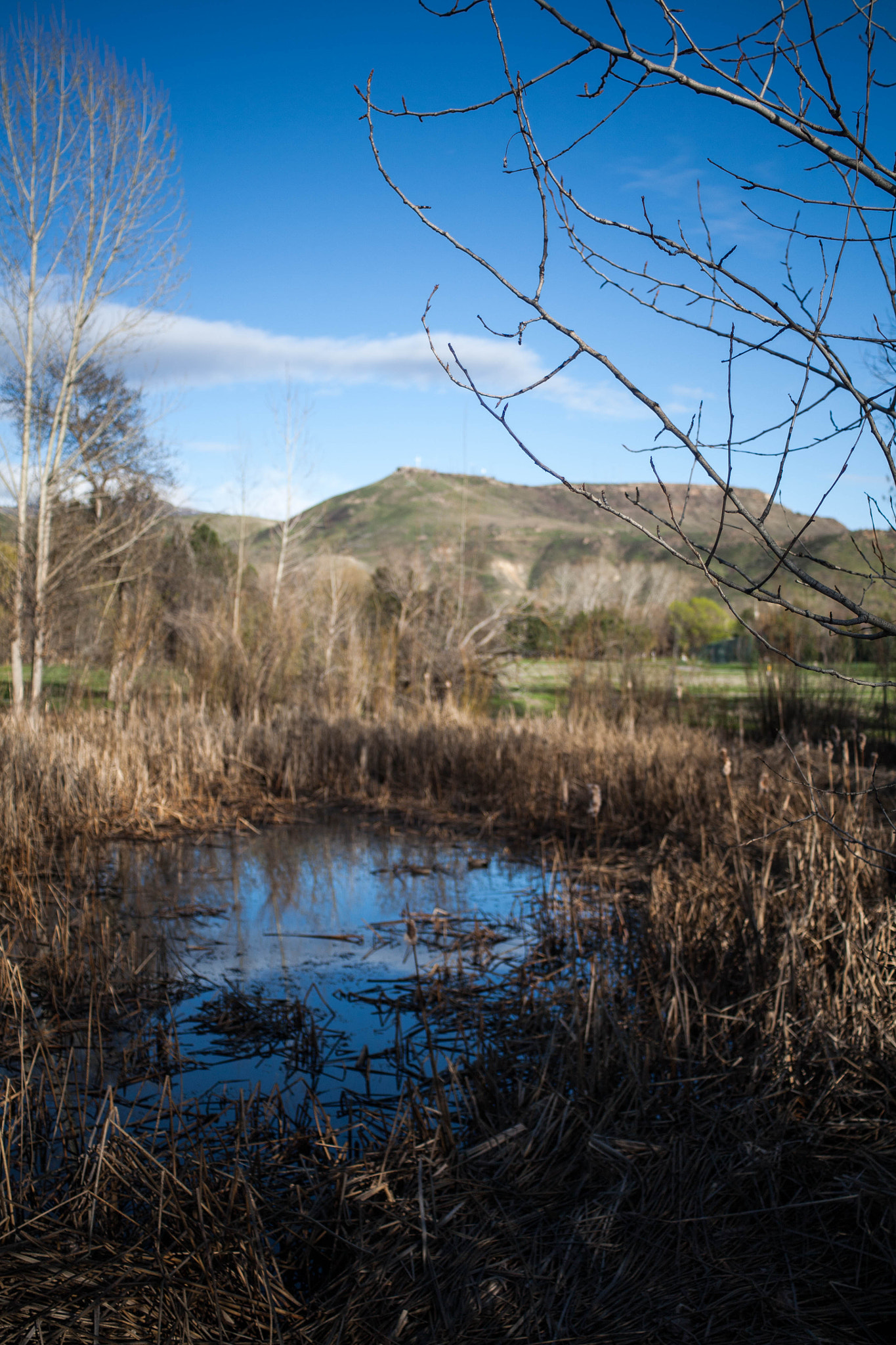 Canon EF 28-80mm f/3.5-5.6 sample photo. Boise tablerock photography