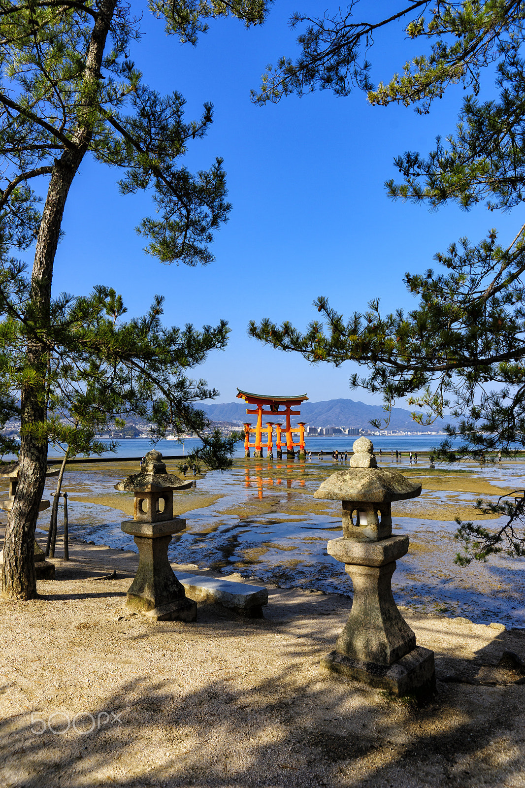 Sony SLT-A99V sample photo. 厳島神社 japan photography