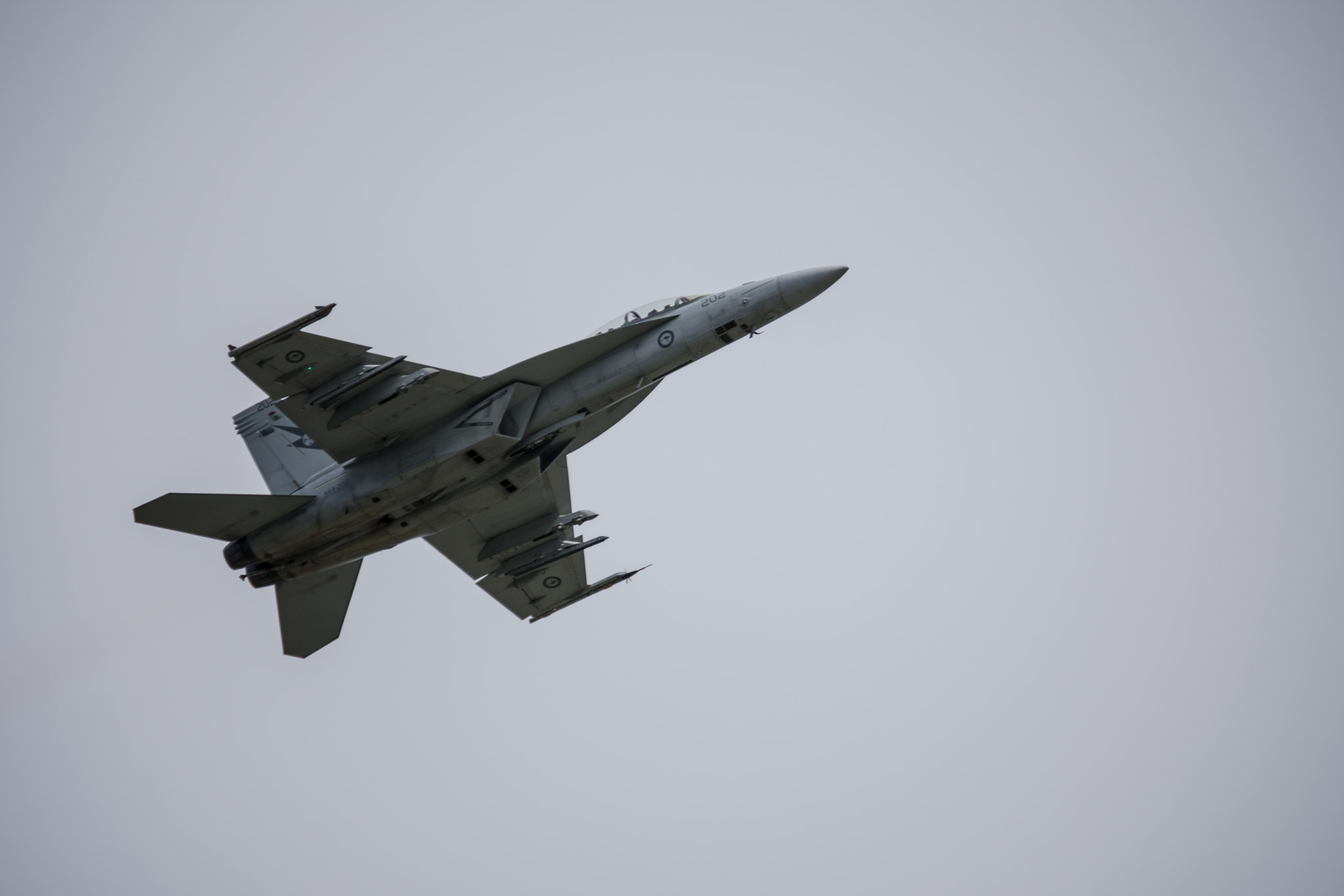 Nikon D7200 sample photo. F/a-18 photography