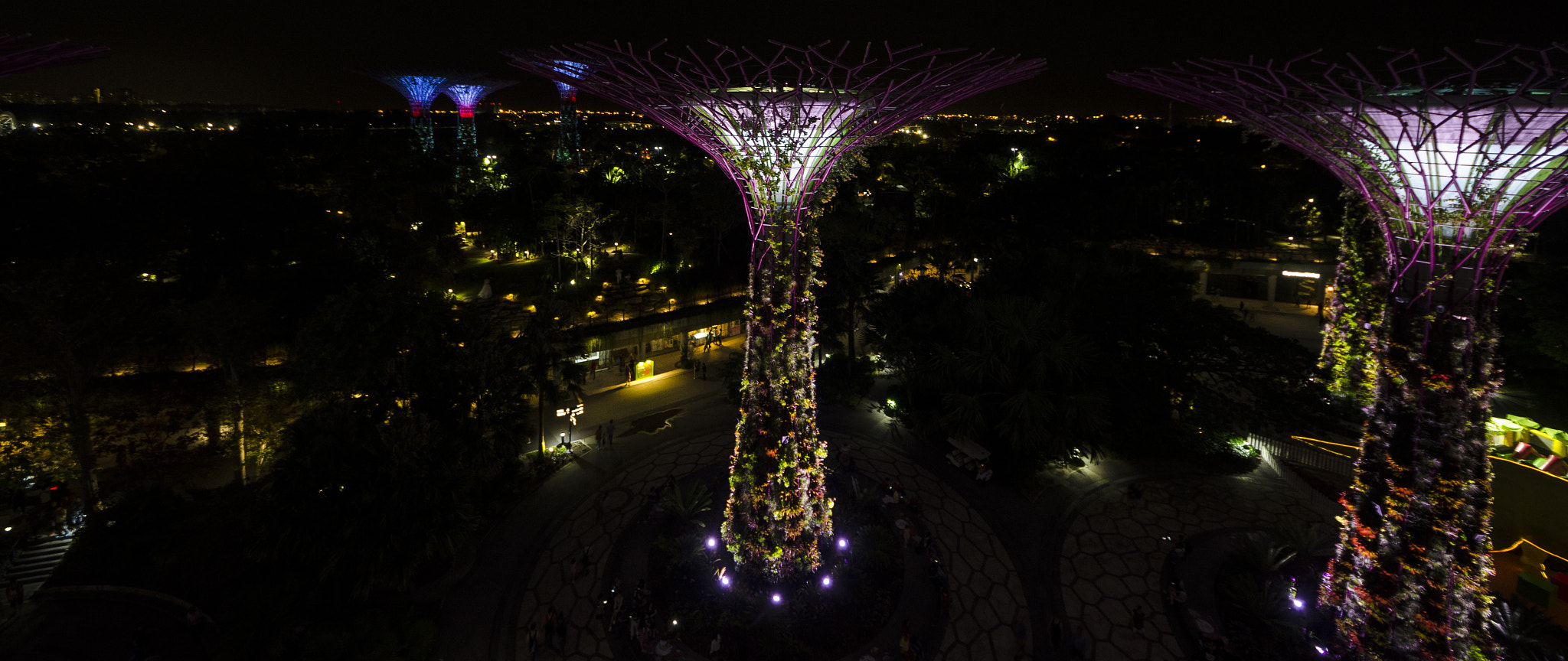 Sigma 8-16mm F4.5-5.6 DC HSM sample photo. Supertrees - singapore photography
