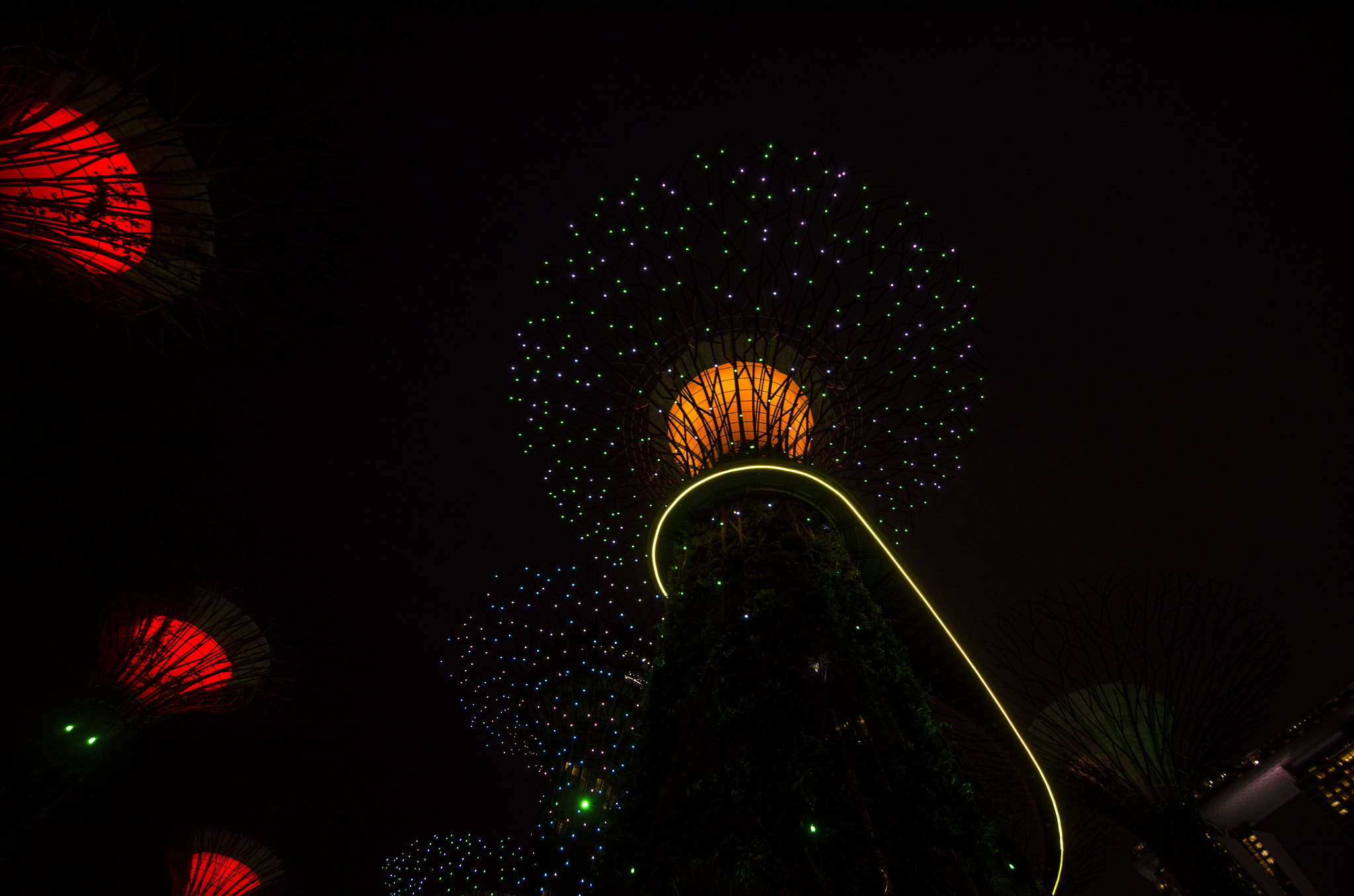 Sigma 8-16mm F4.5-5.6 DC HSM sample photo. Supertrees - singapore photography