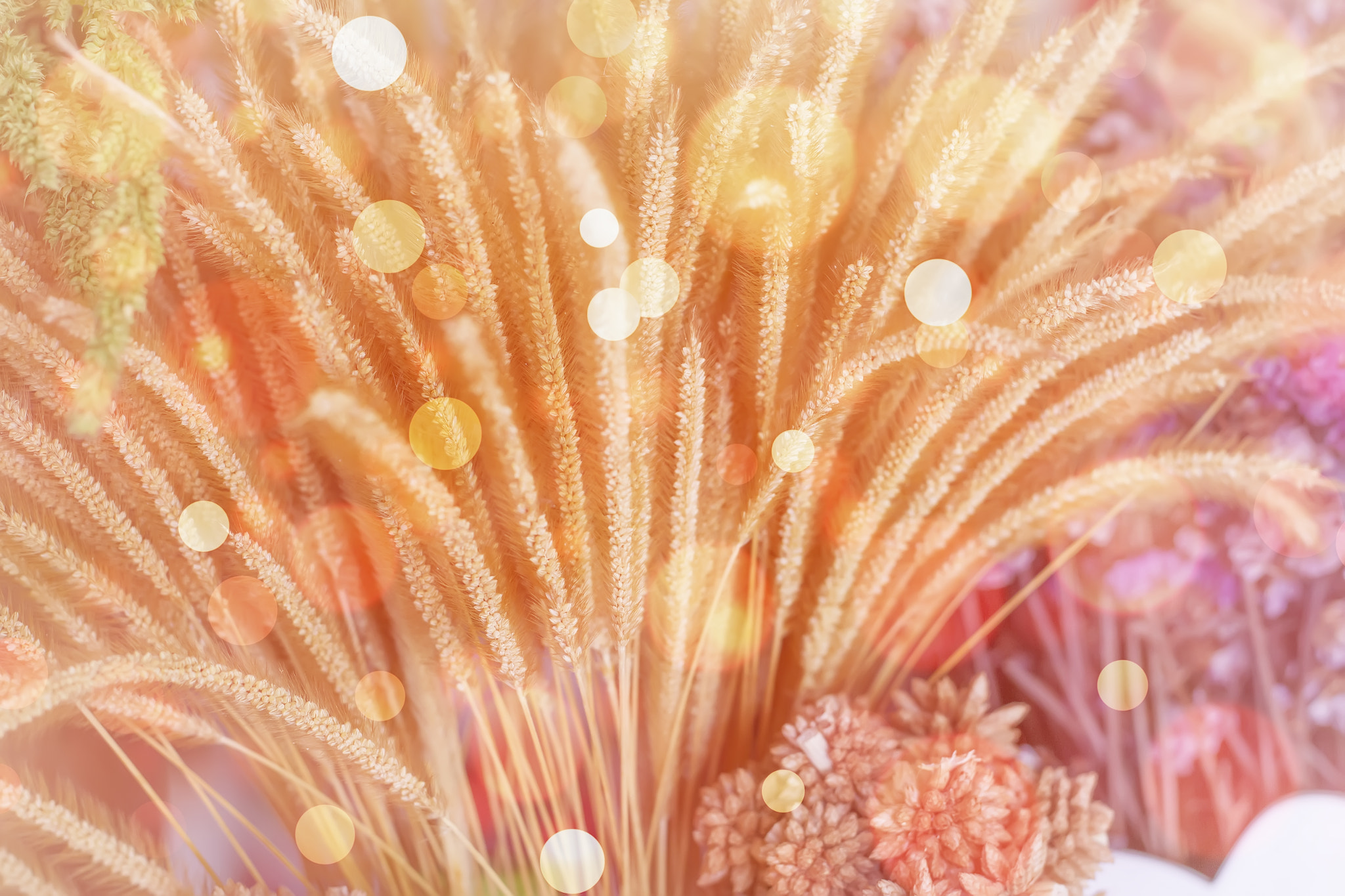 Canon EOS 7D sample photo. Dried oat leaves and soft focus photography