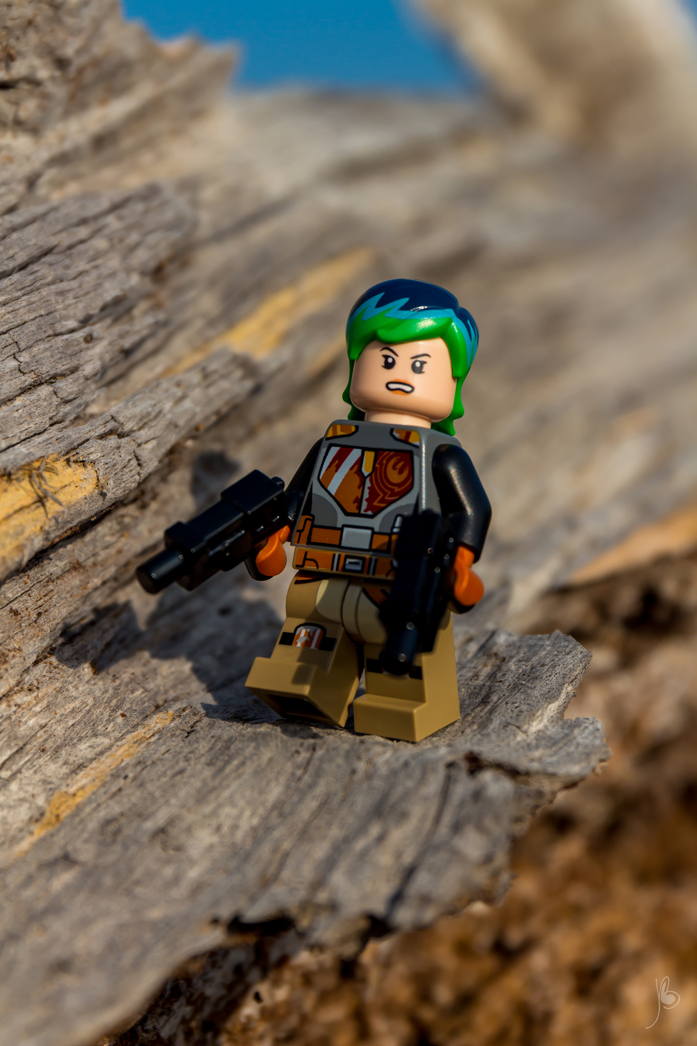 Canon EF 24-70mm F4L IS USM sample photo. Sabine wren photography